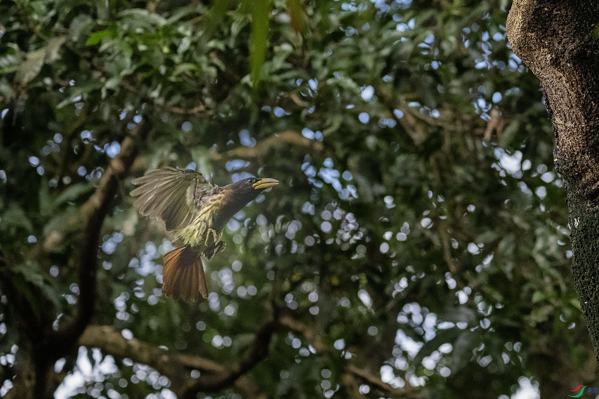 DSC_7006.jpg