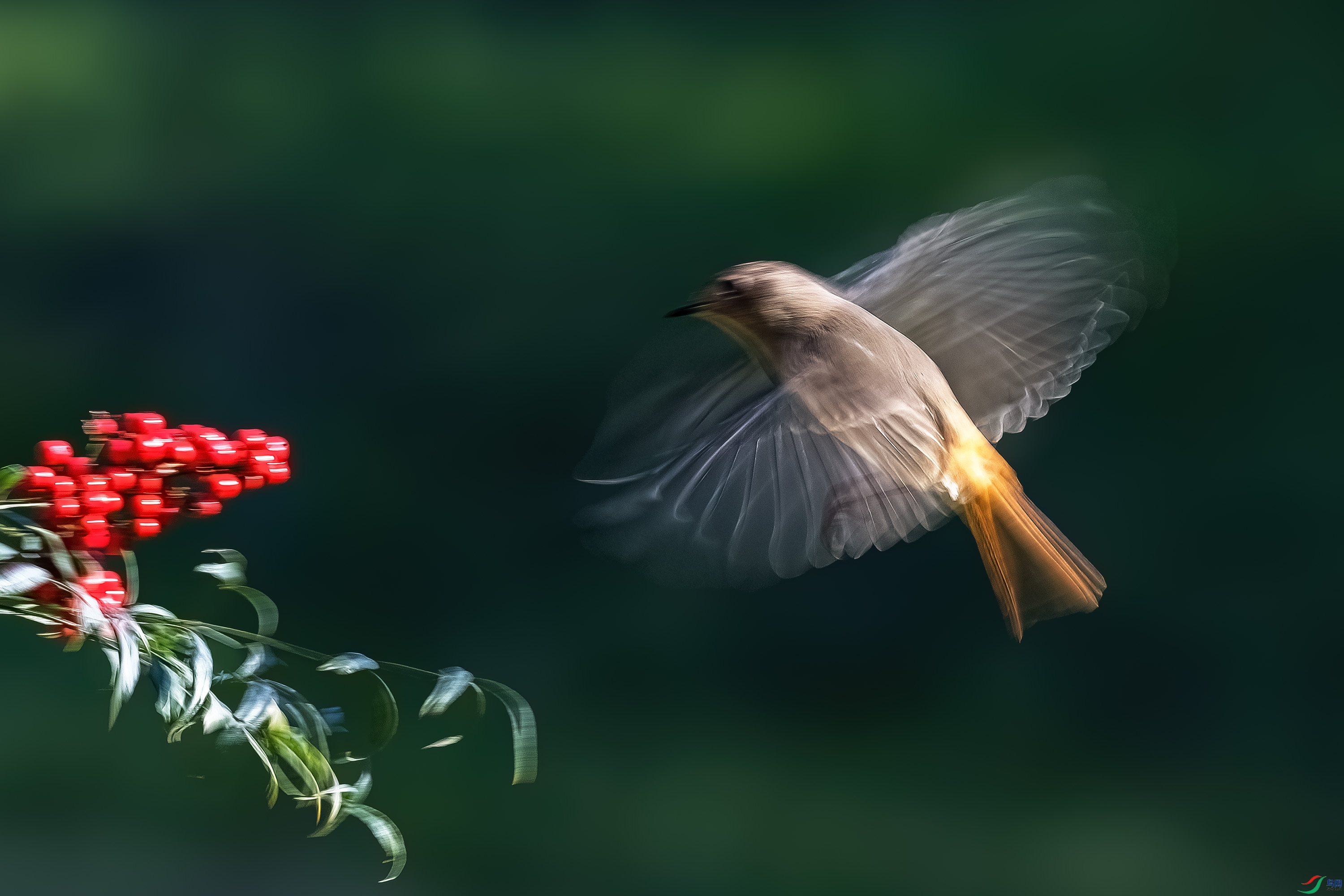 DSC_8114.jpg