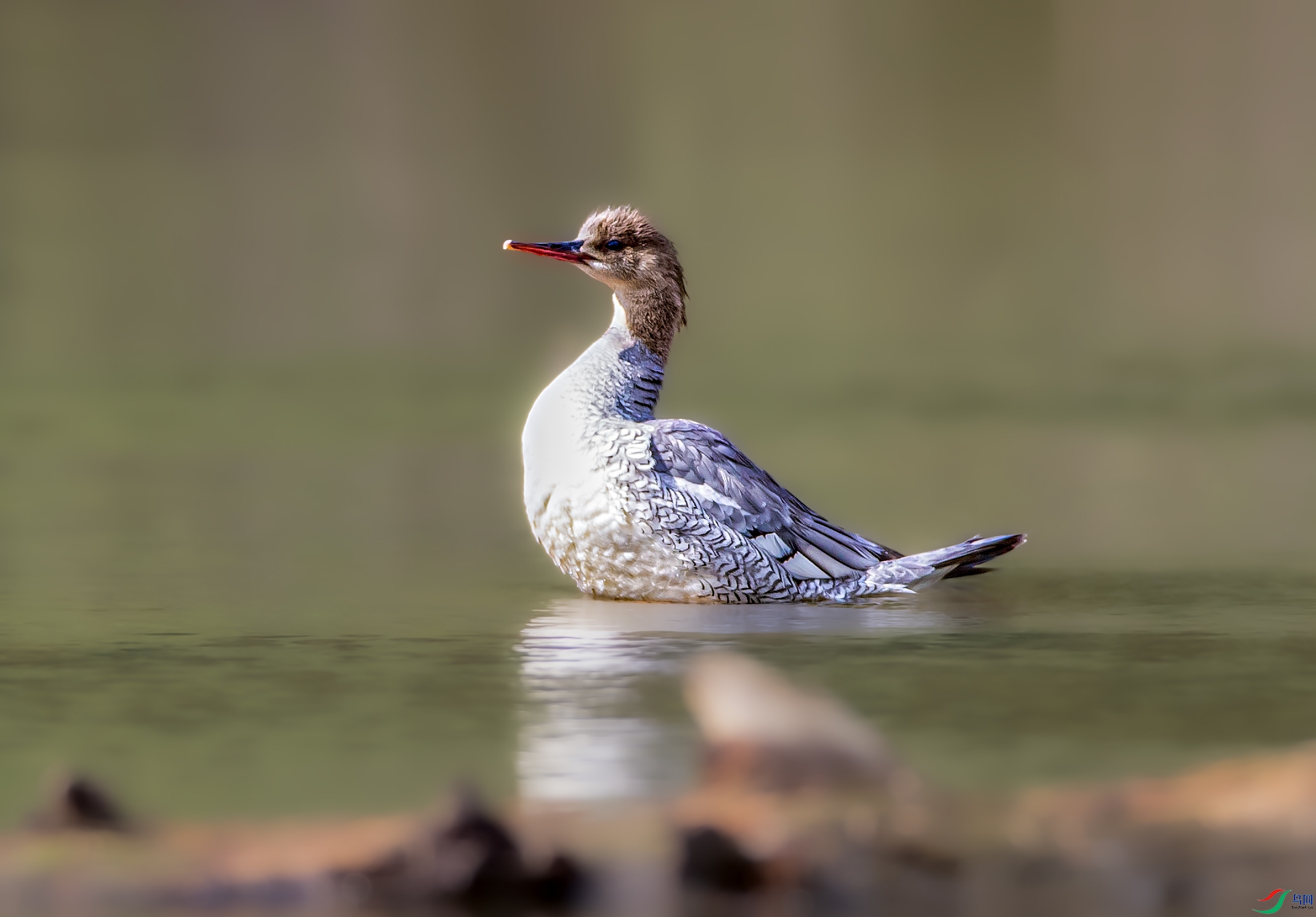 AR7I9932 ����.jpg