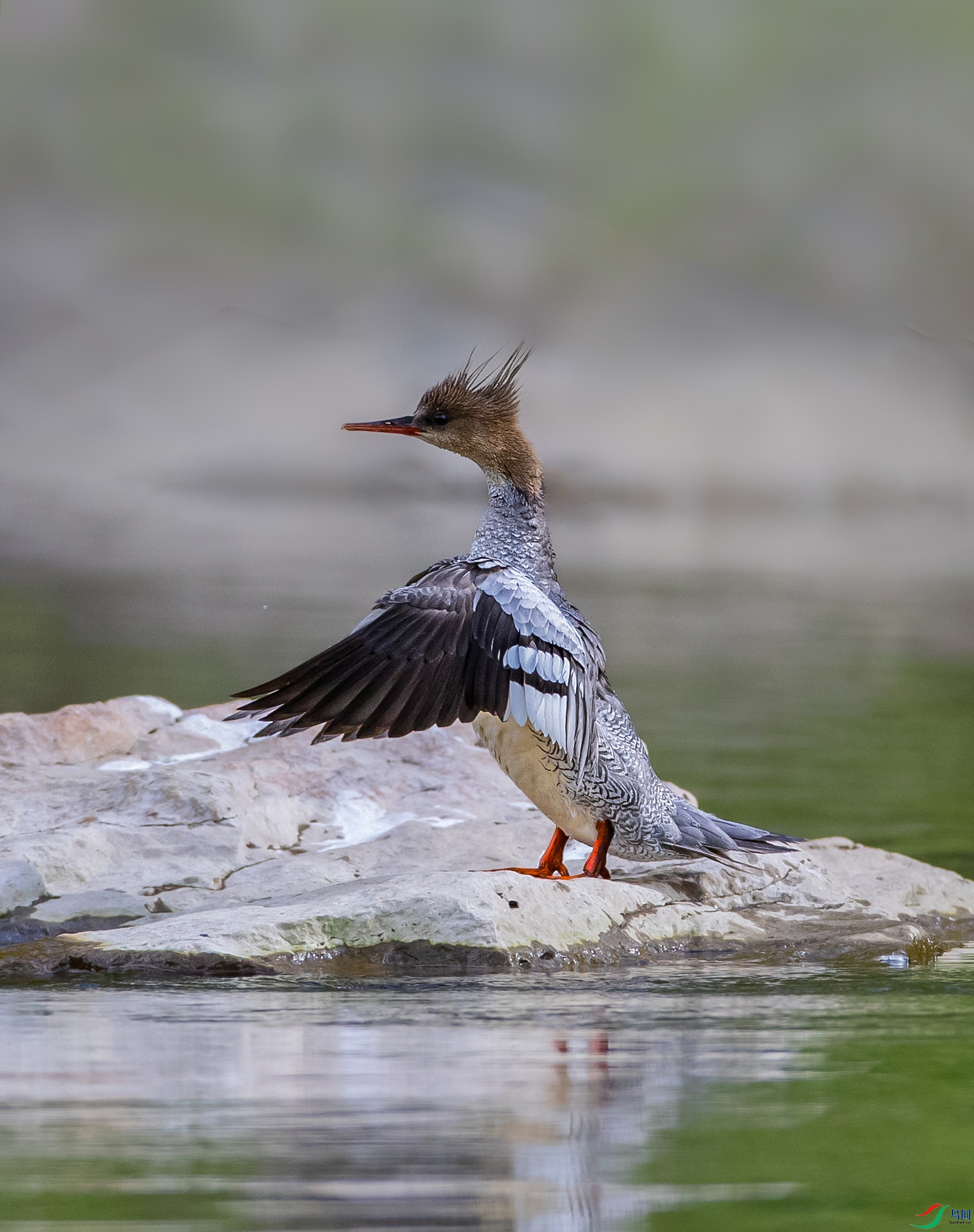 AR7I0219 ����.jpg