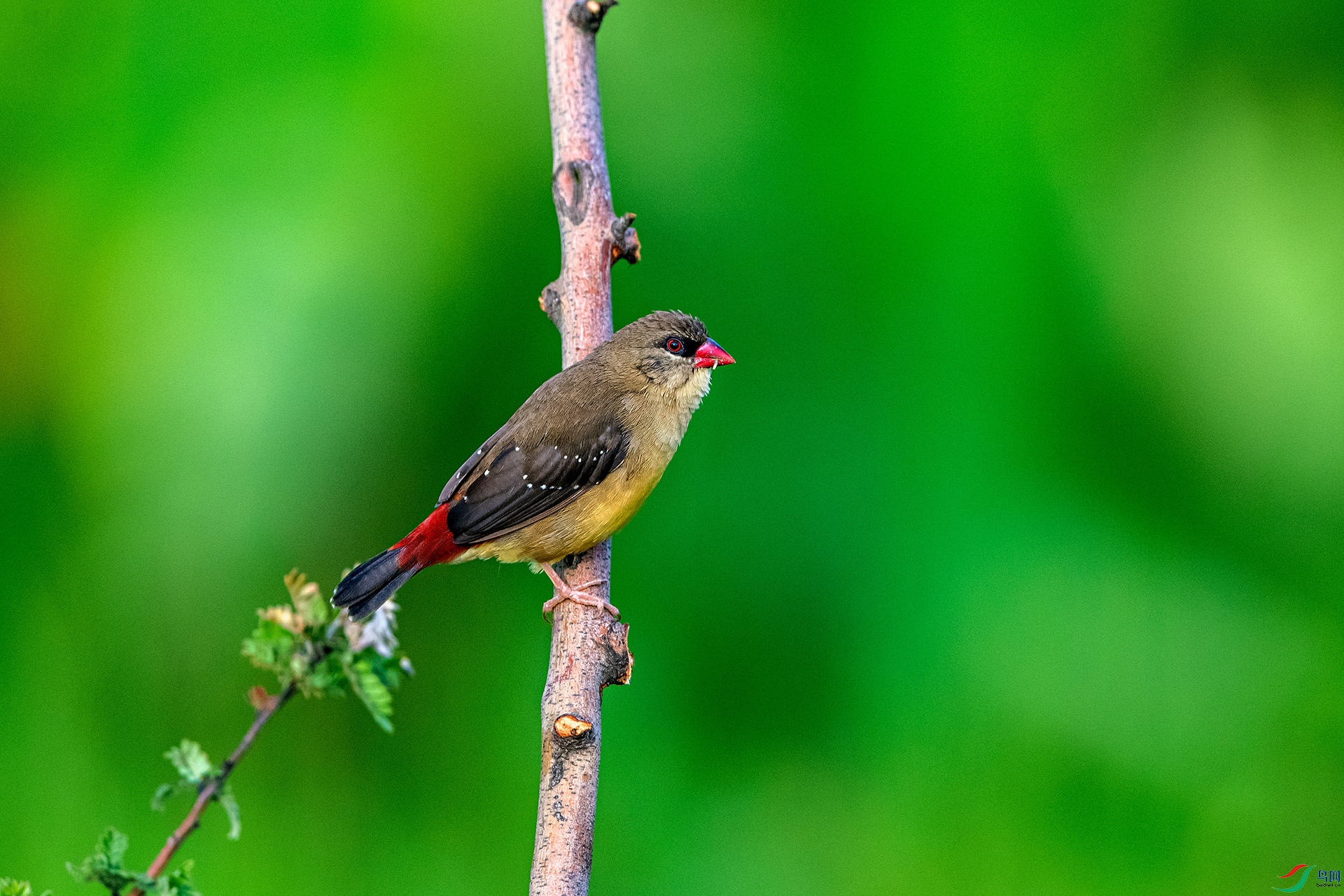 _AUU6885 ��÷��ȸ(25.7.7).jpg