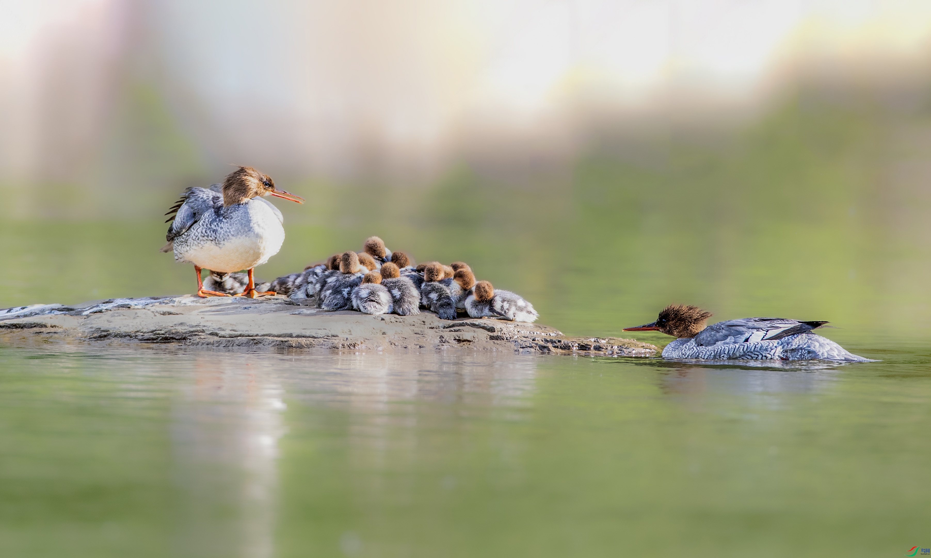 AR7I0843 ����.jpg