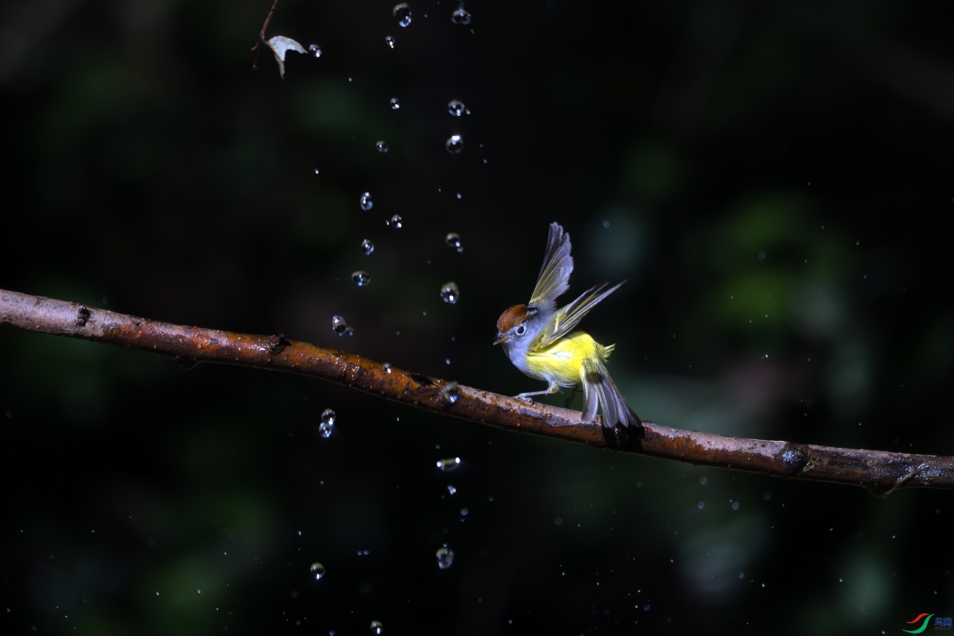 248.�¨�2 ���� ��.jpg