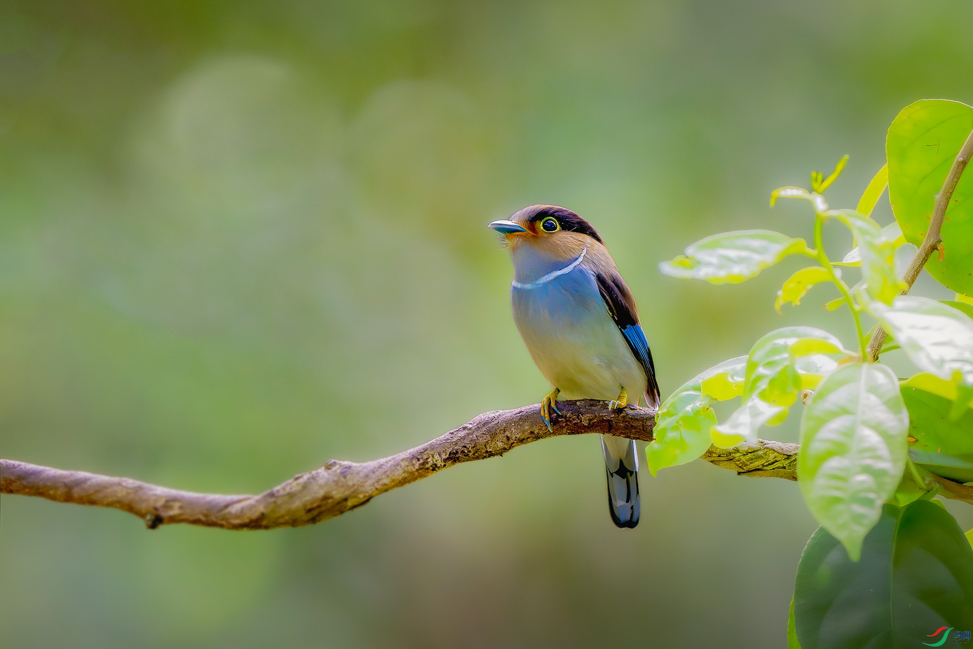 DSC_7686.jpg