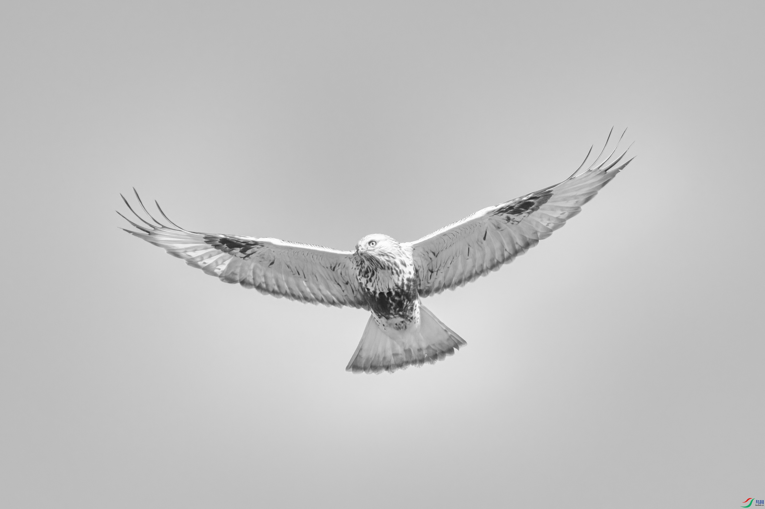 DSC07721 ����.jpg