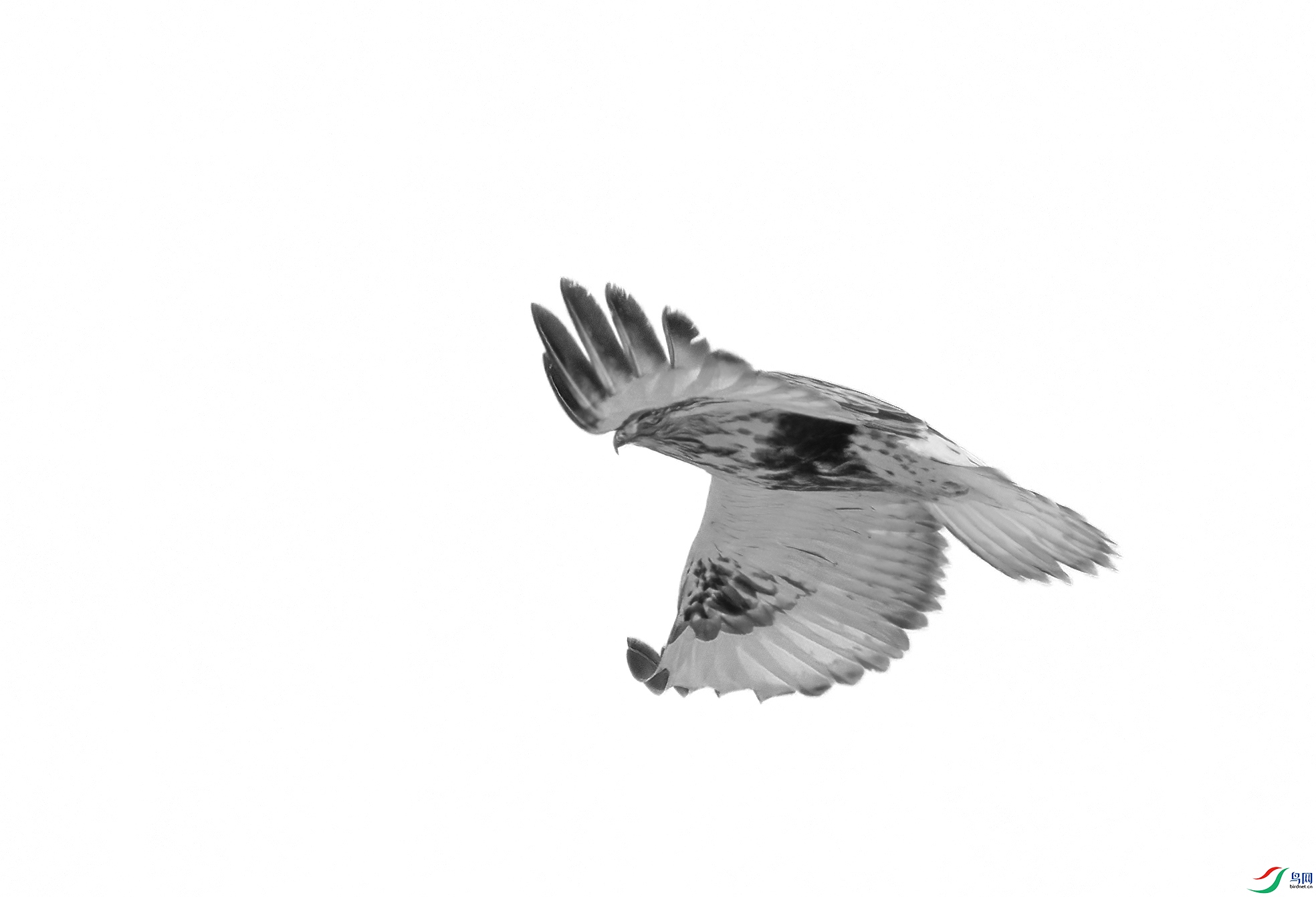 DSC08886 ����.jpg