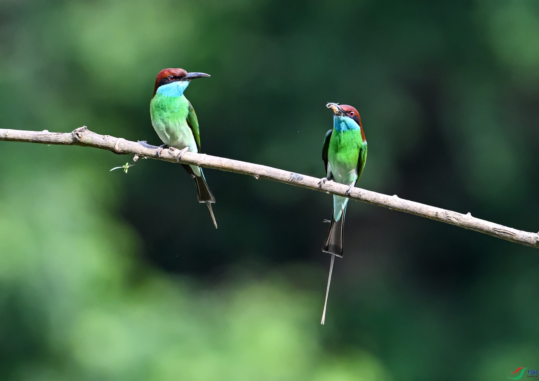 DSC_7020�Ͳ�����.jpg