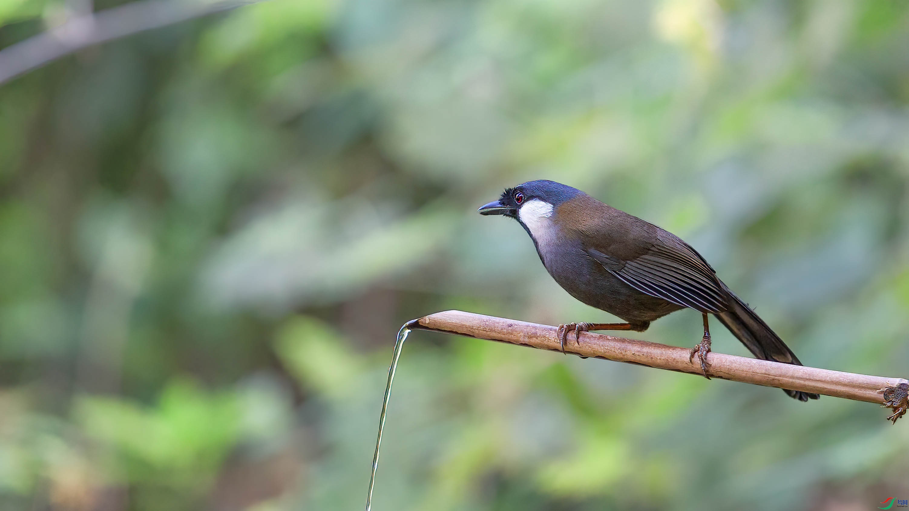 a_79002-1.jpg
