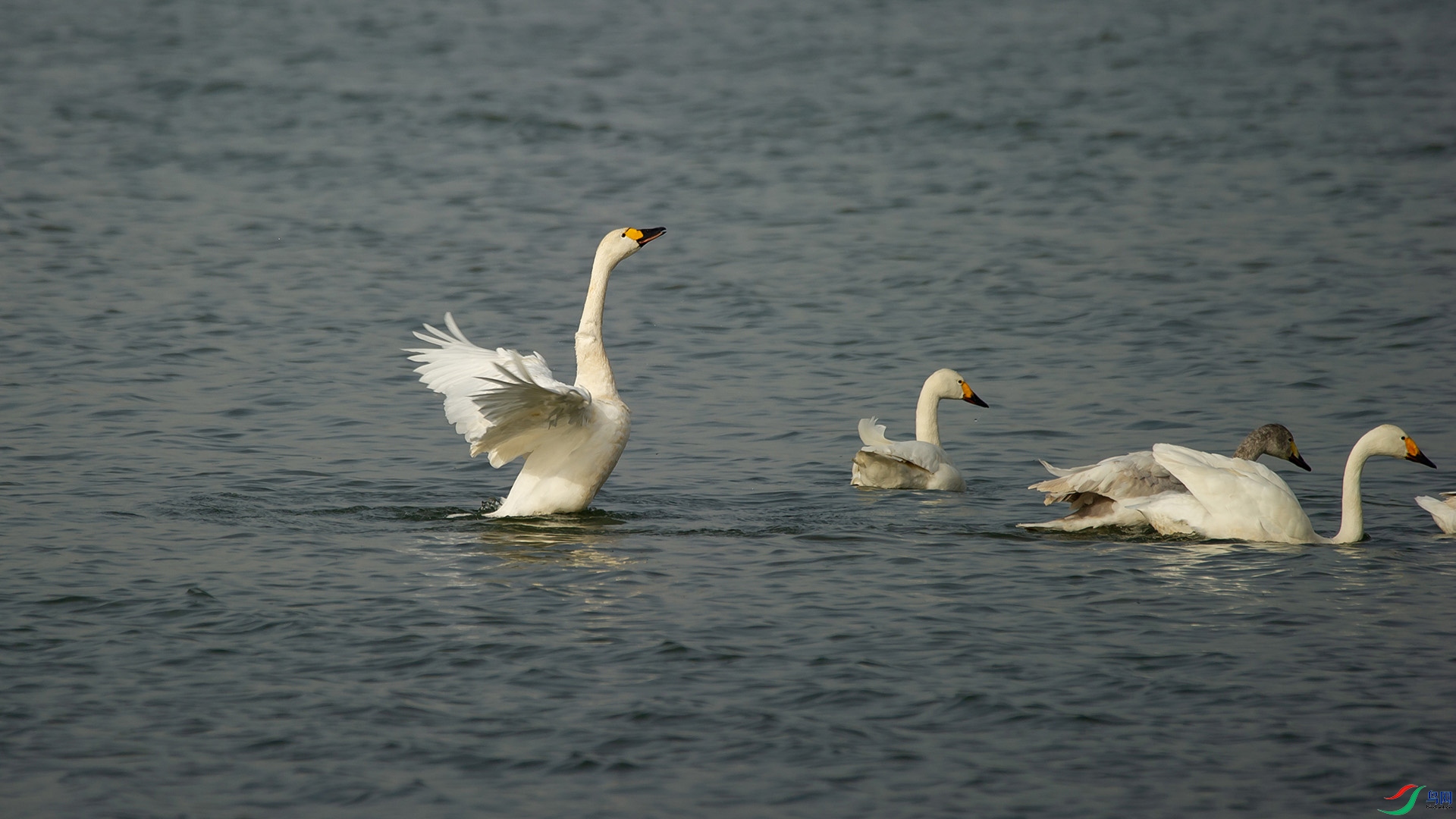 _DSC6995-20220315 �ü�.jpg