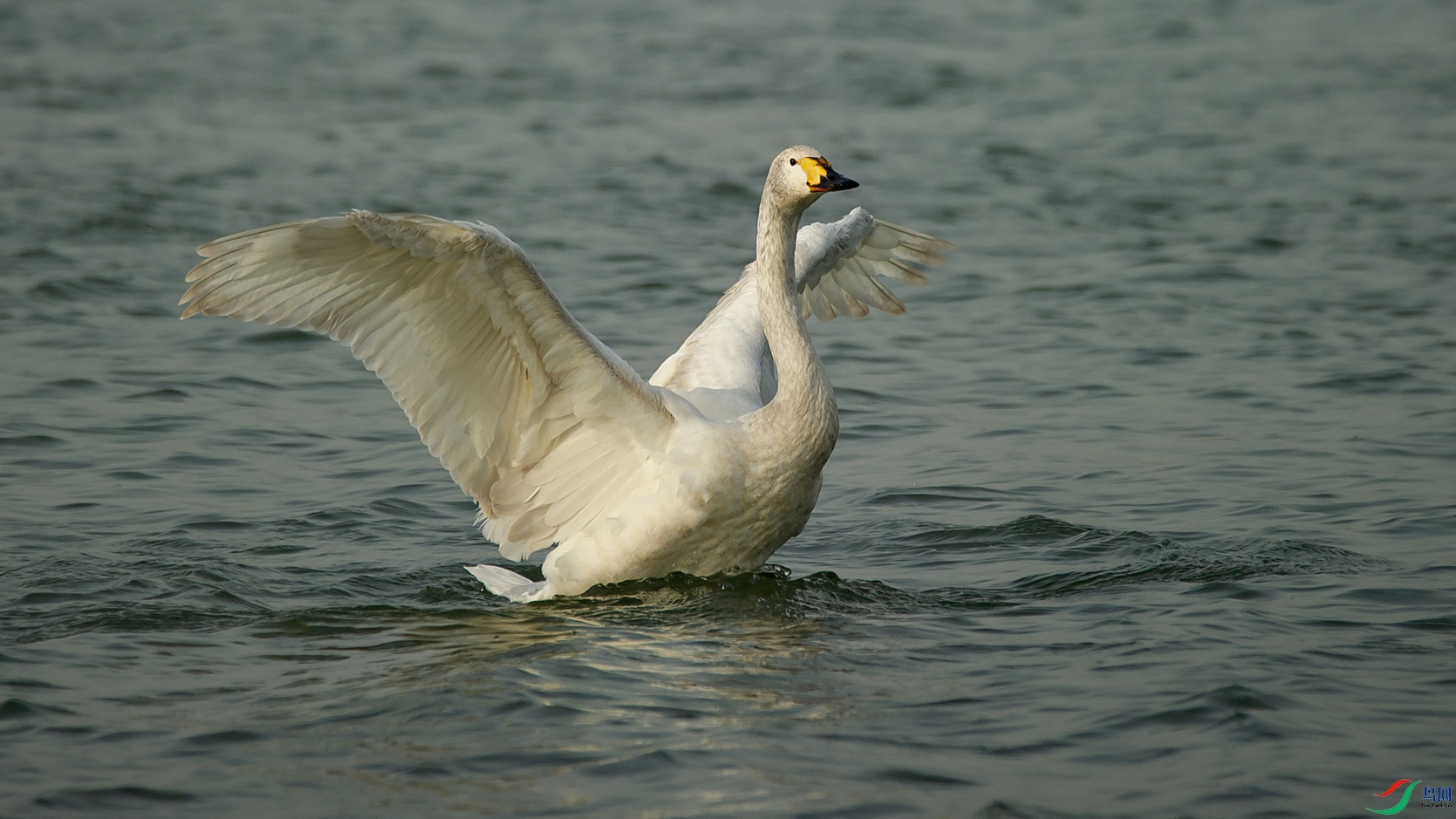 _DSC7049-20220315 �ü�.jpg