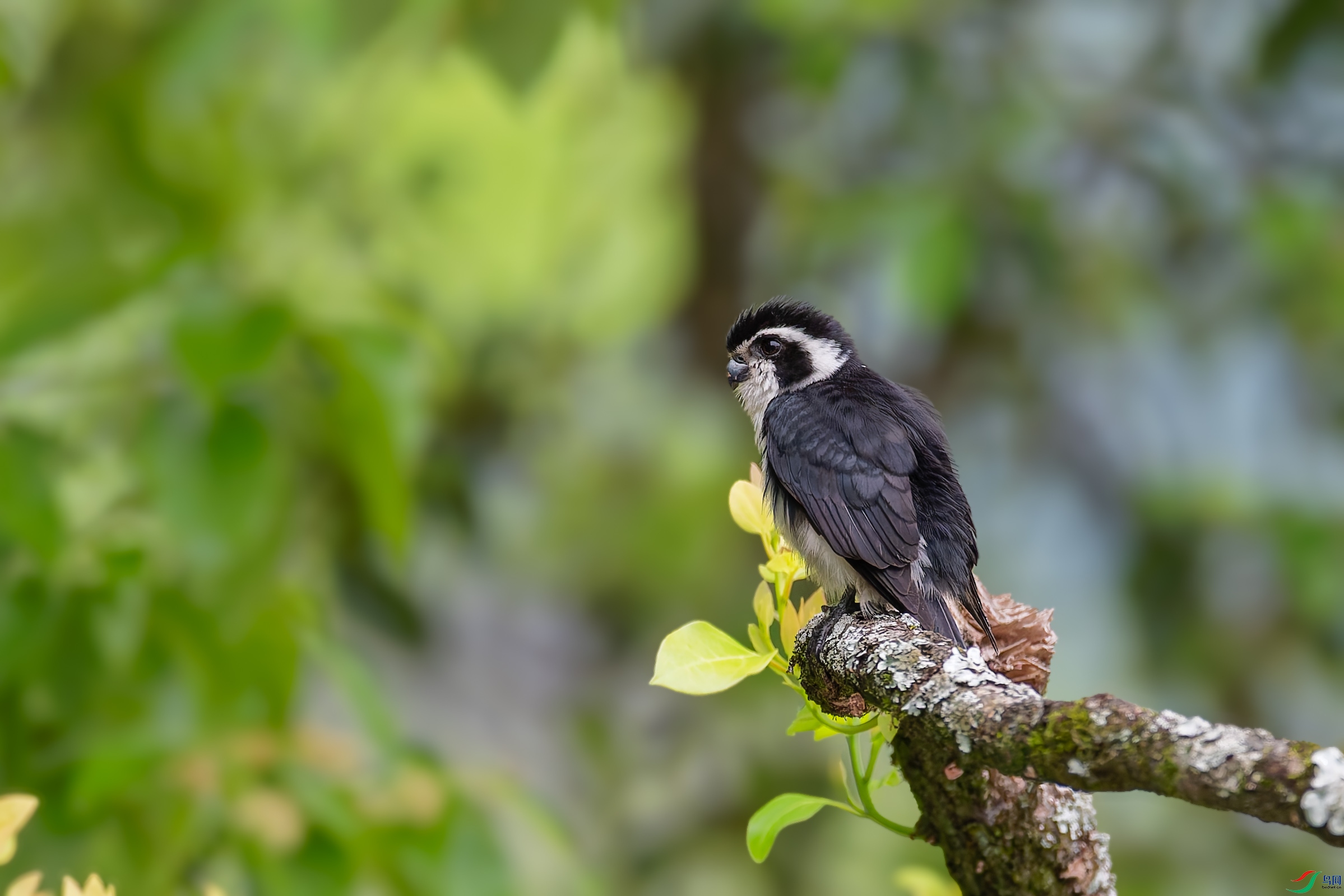 _DSC4166_DxO.jpg