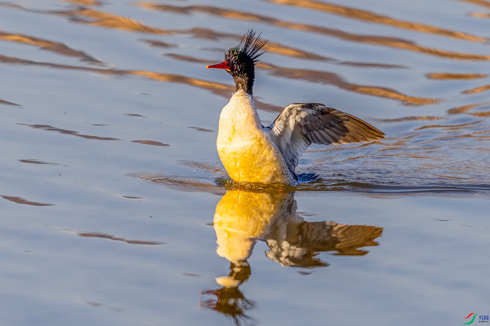 IMG_3047 ����.jpg