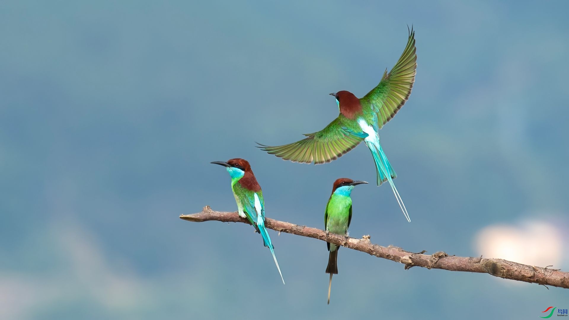 _DSC5653 ����.jpg