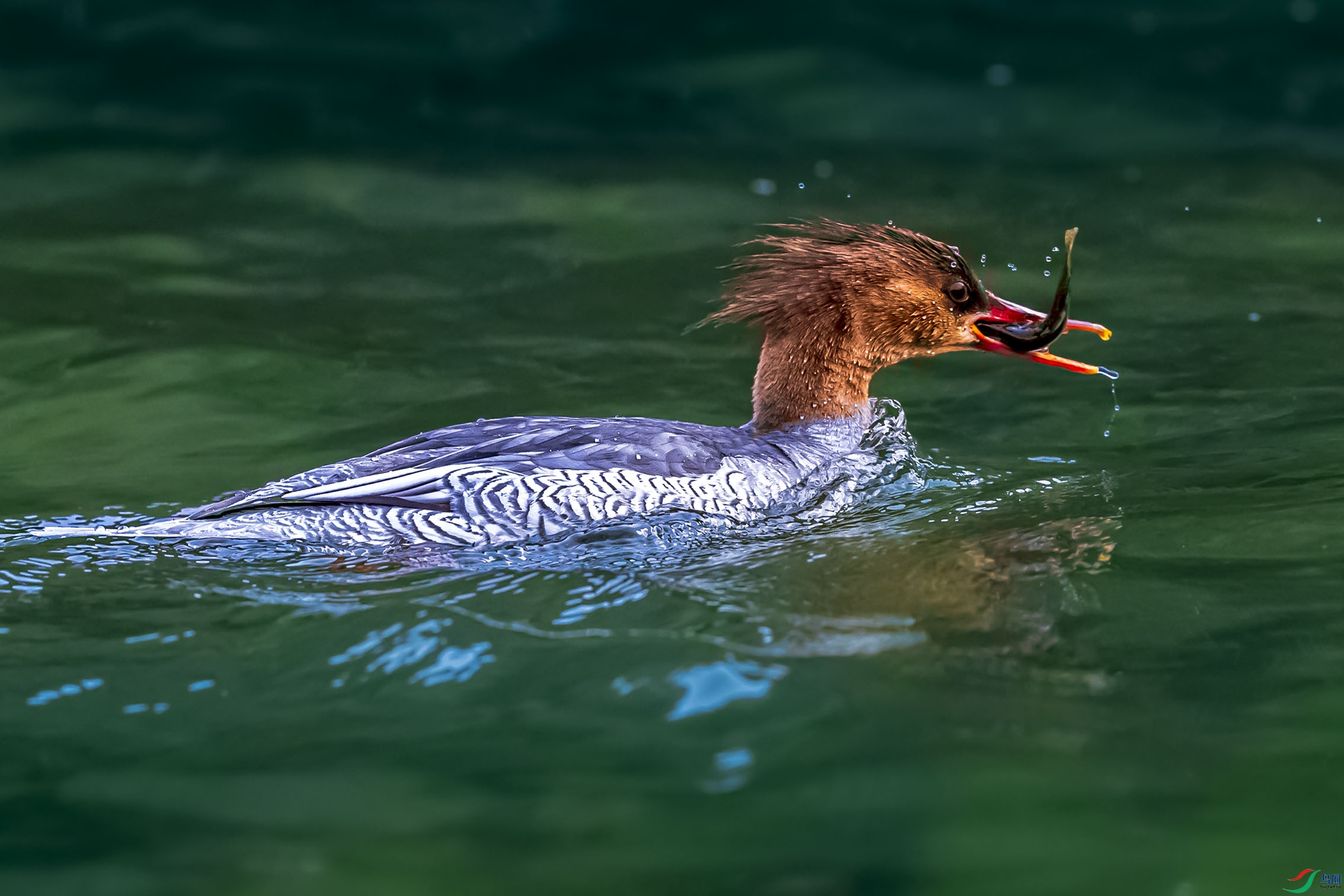 AF3I7242 ����bbbbbb.jpg