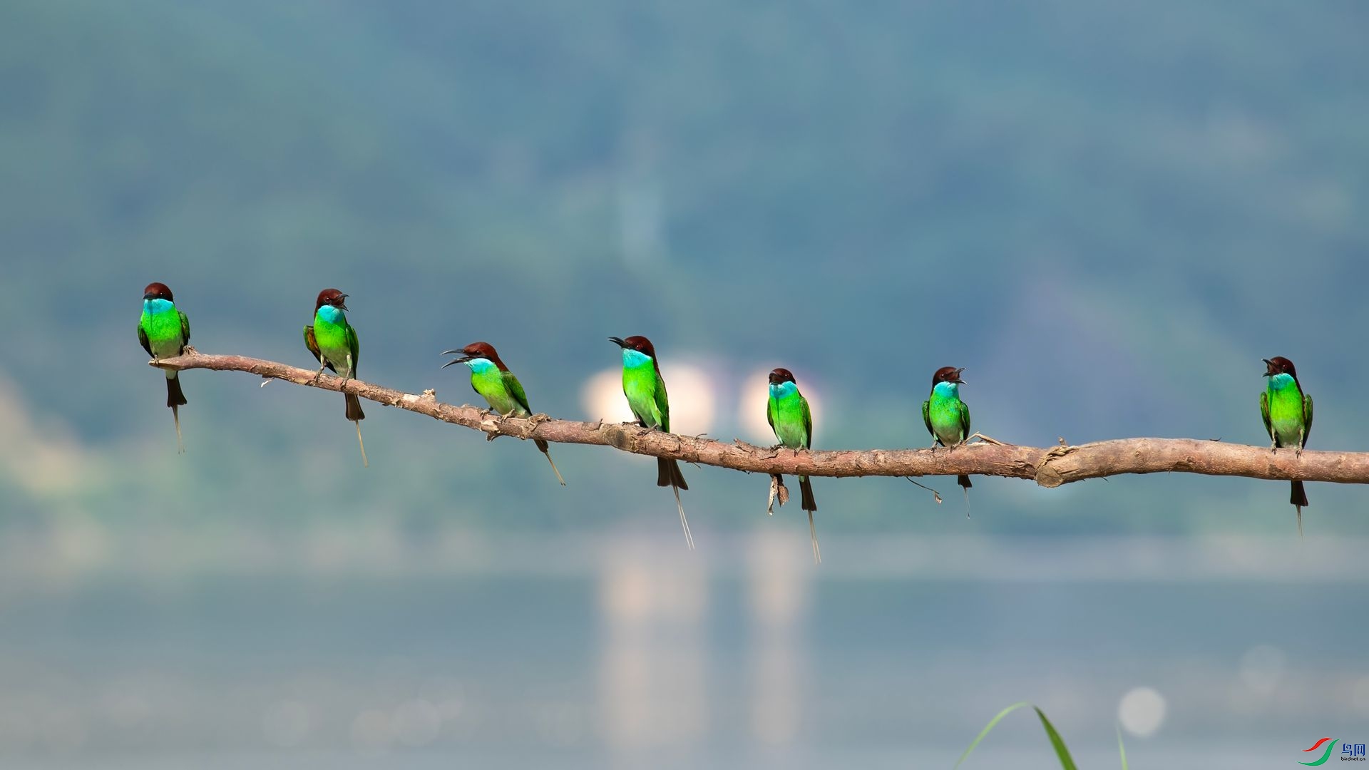 _DSC6490 ����.jpg