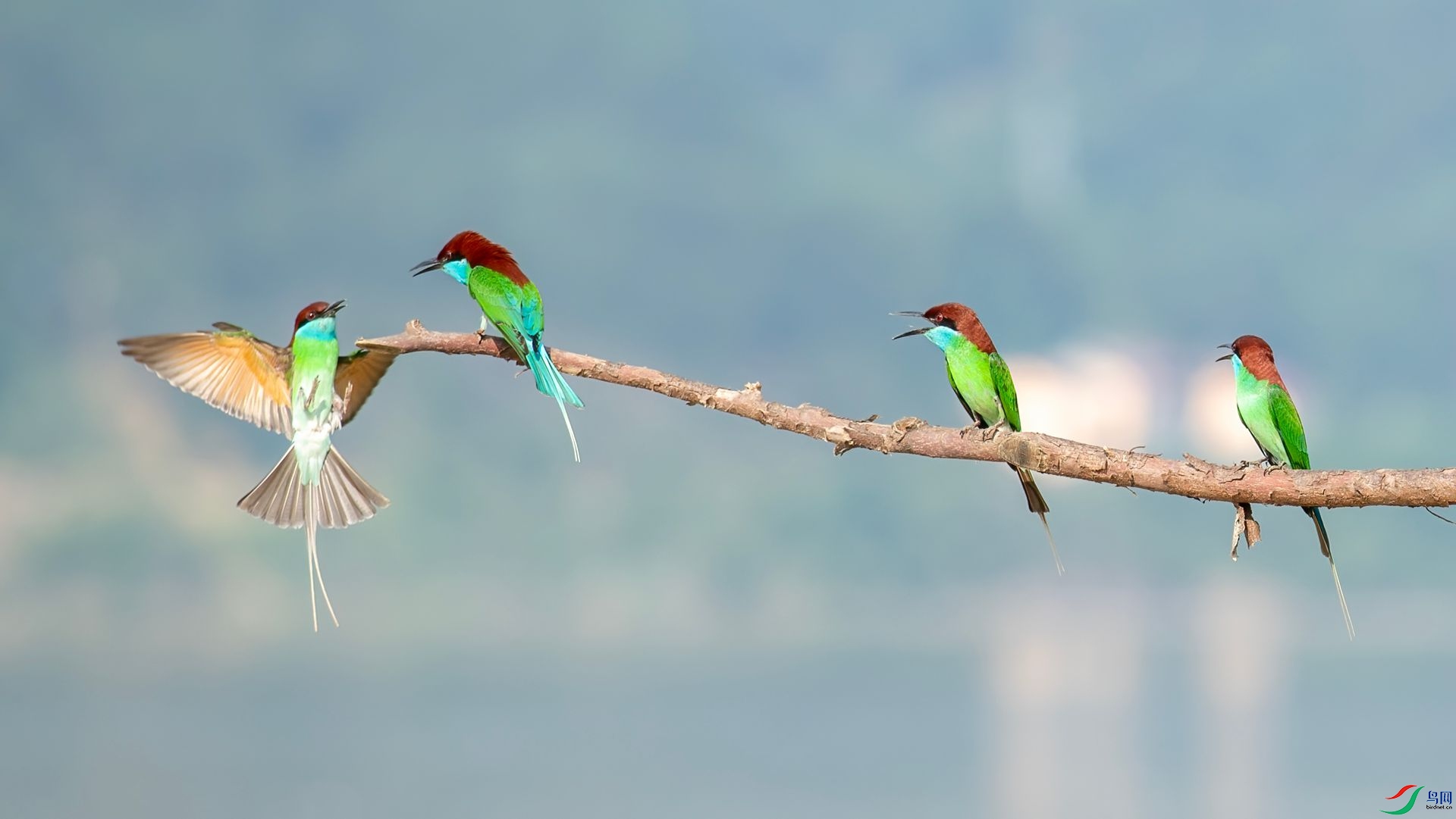 _DSC6580 ����.jpg