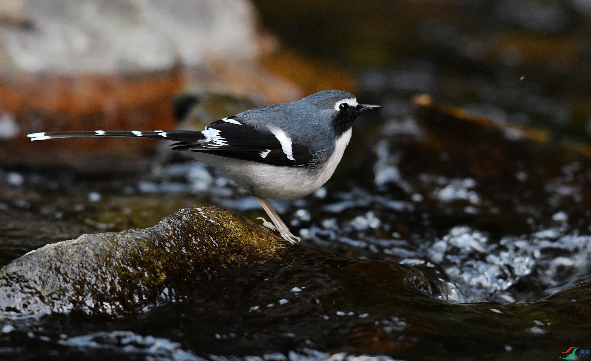 DSC_1410.jpg