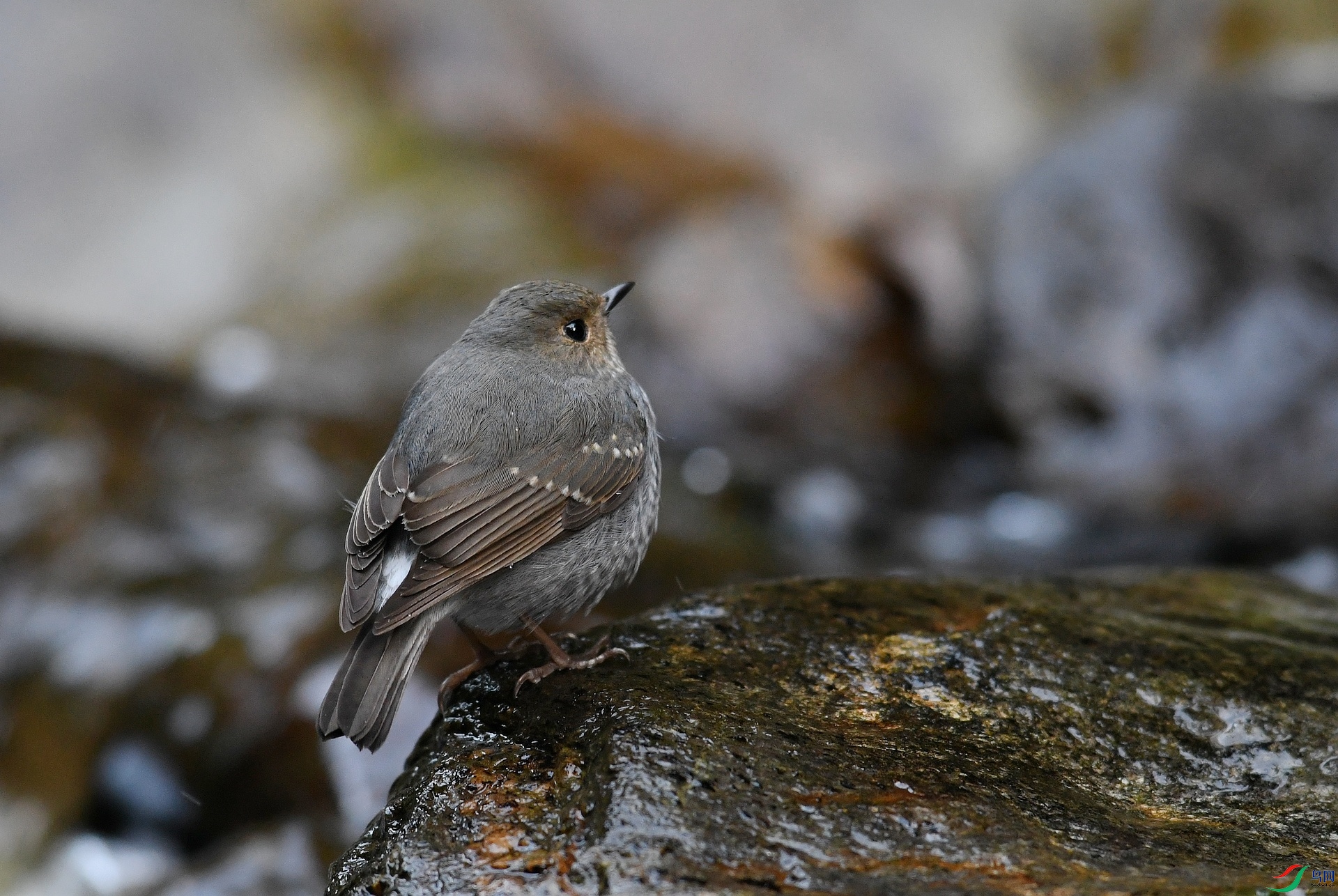 DSC_1499.jpg