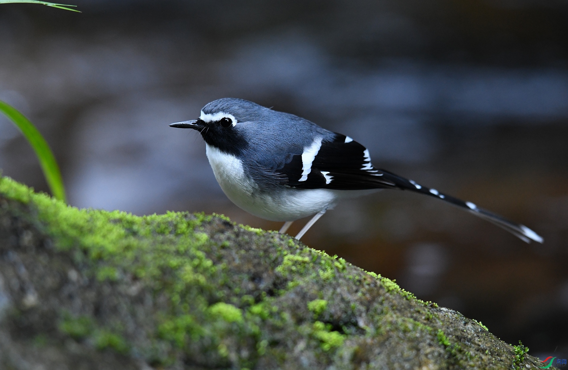 DSC_5107.jpg