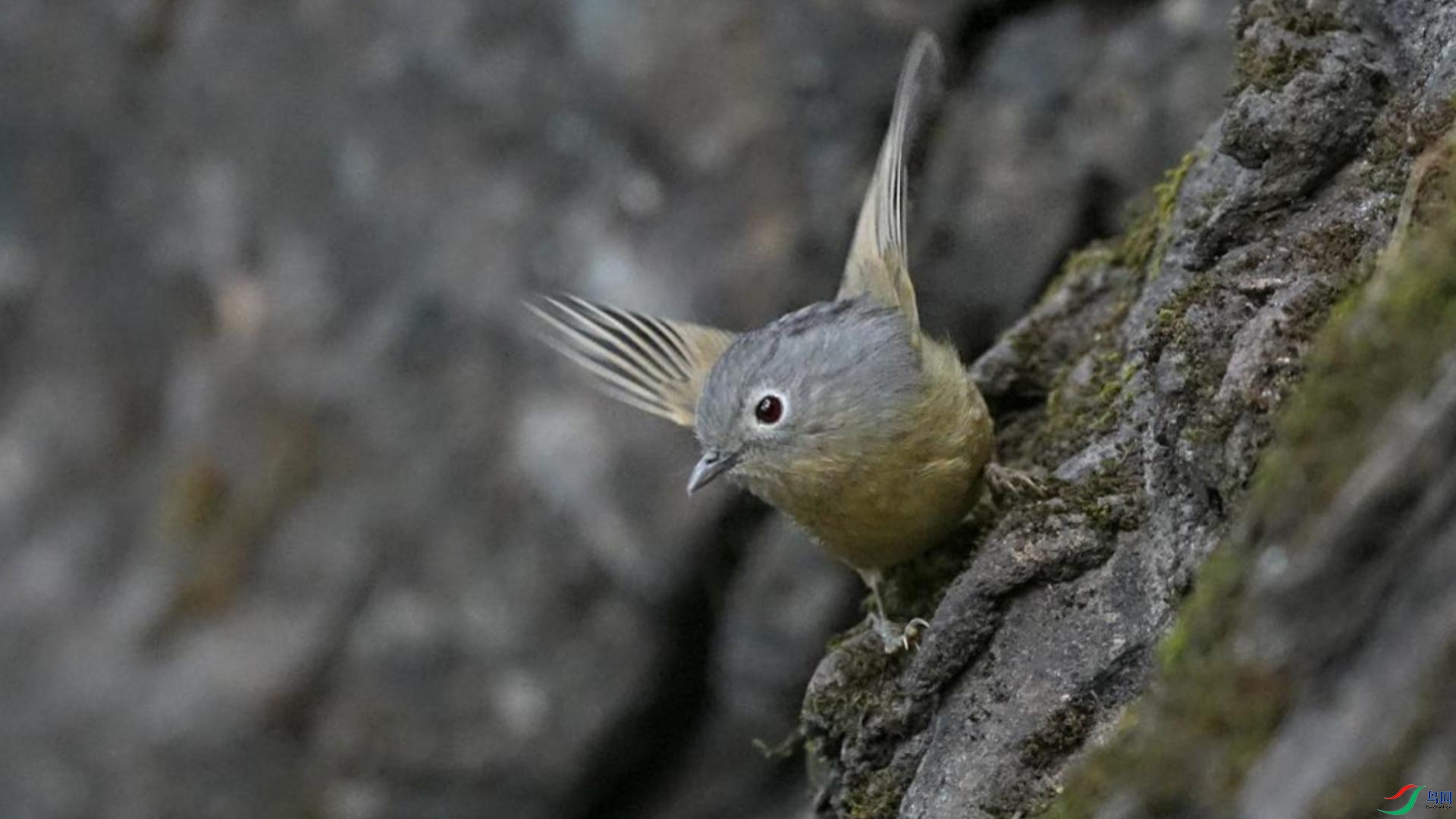 12��28�� (1)-����.jpg