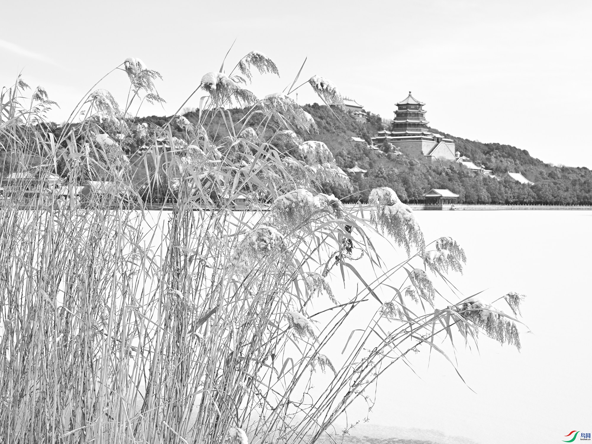 DSC_3618.JPG