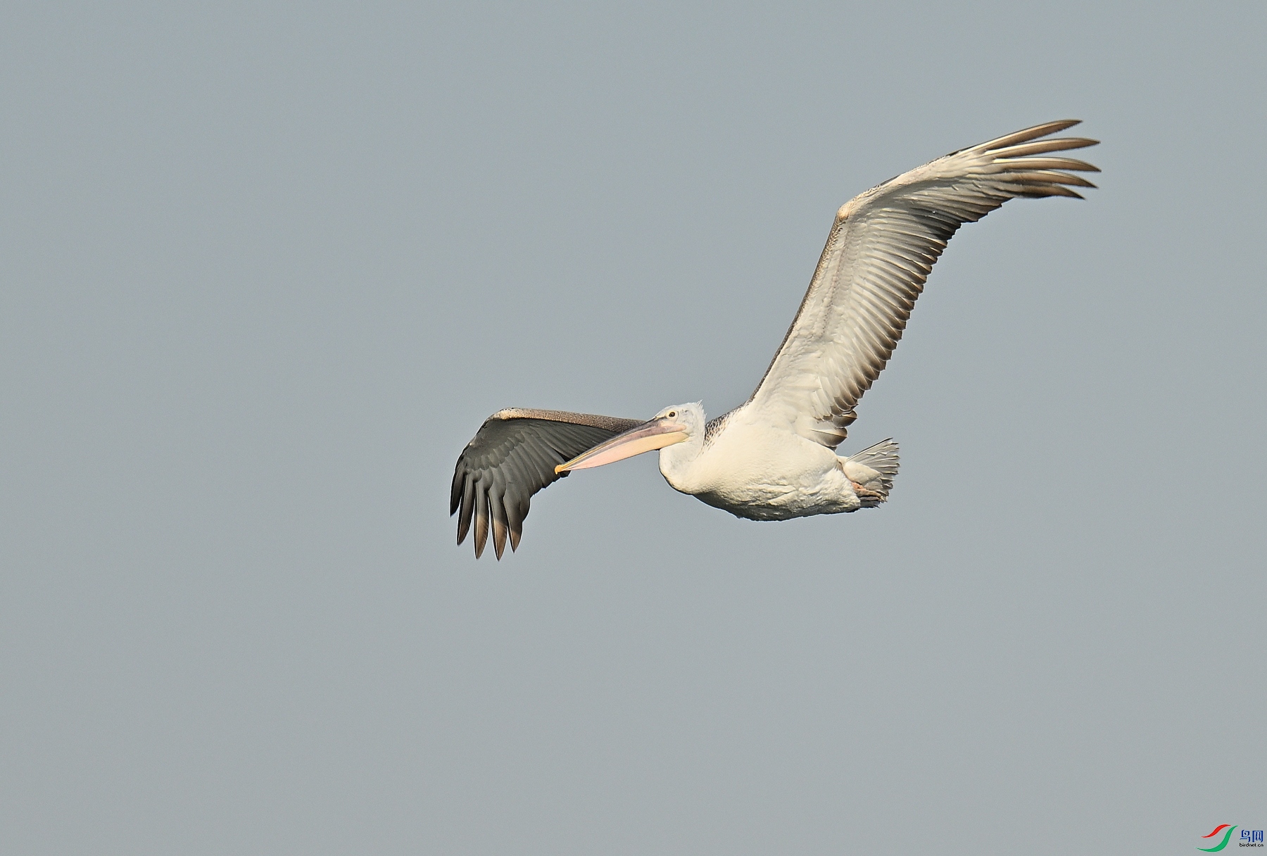DSC_3378.JPG