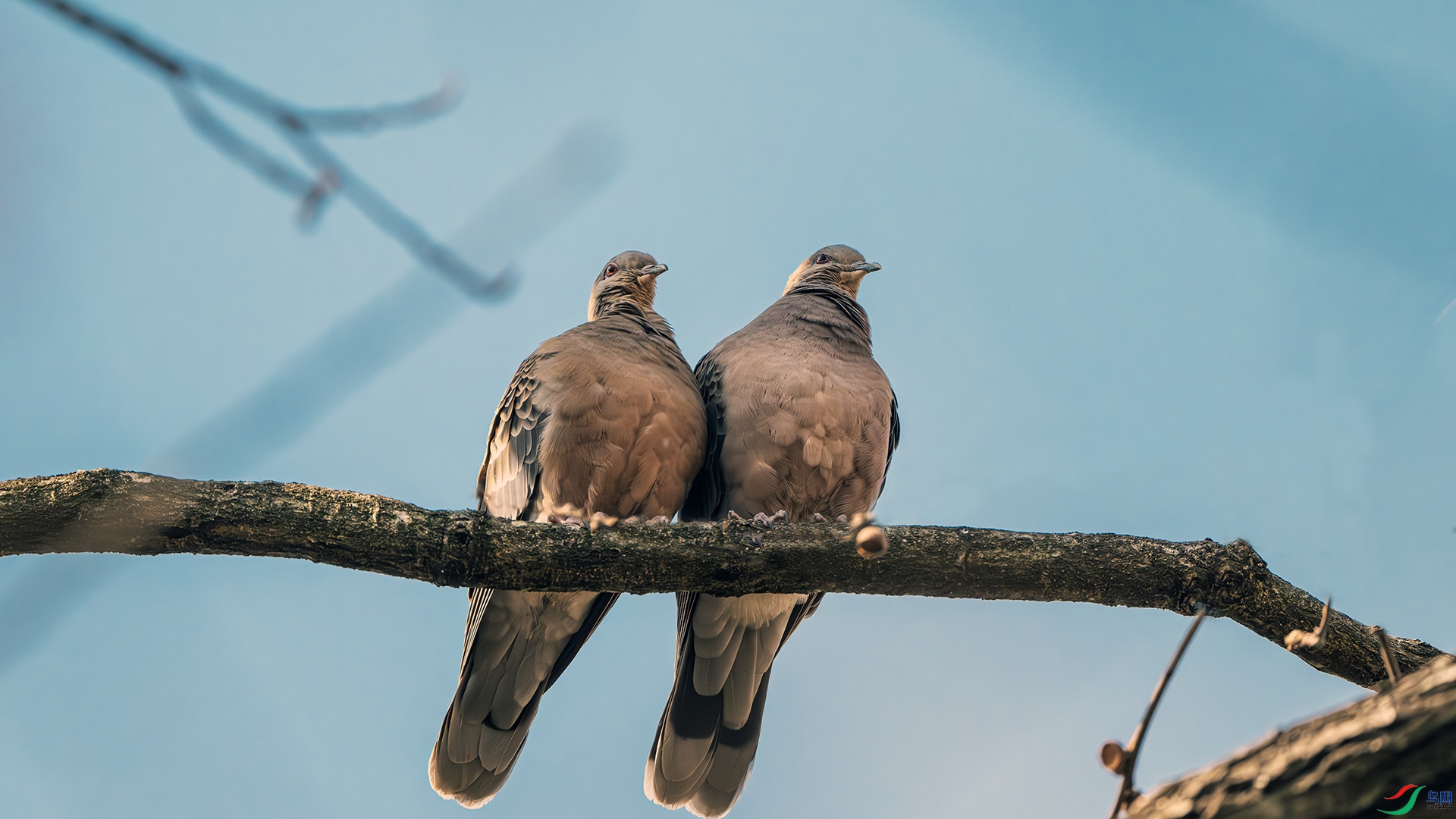 DSC_7151-����ǿ-NR ����.jpg