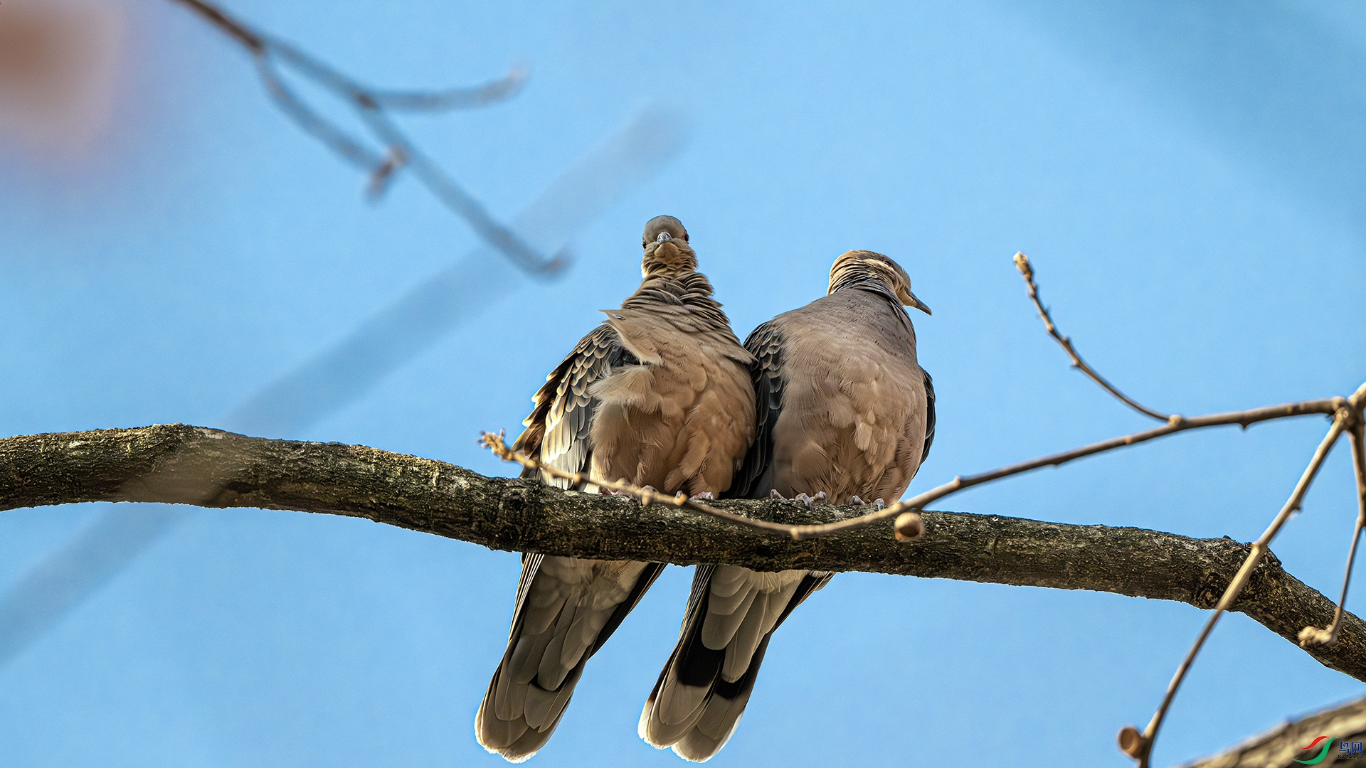 DSC_7140-����ǿ-NR ����.jpg