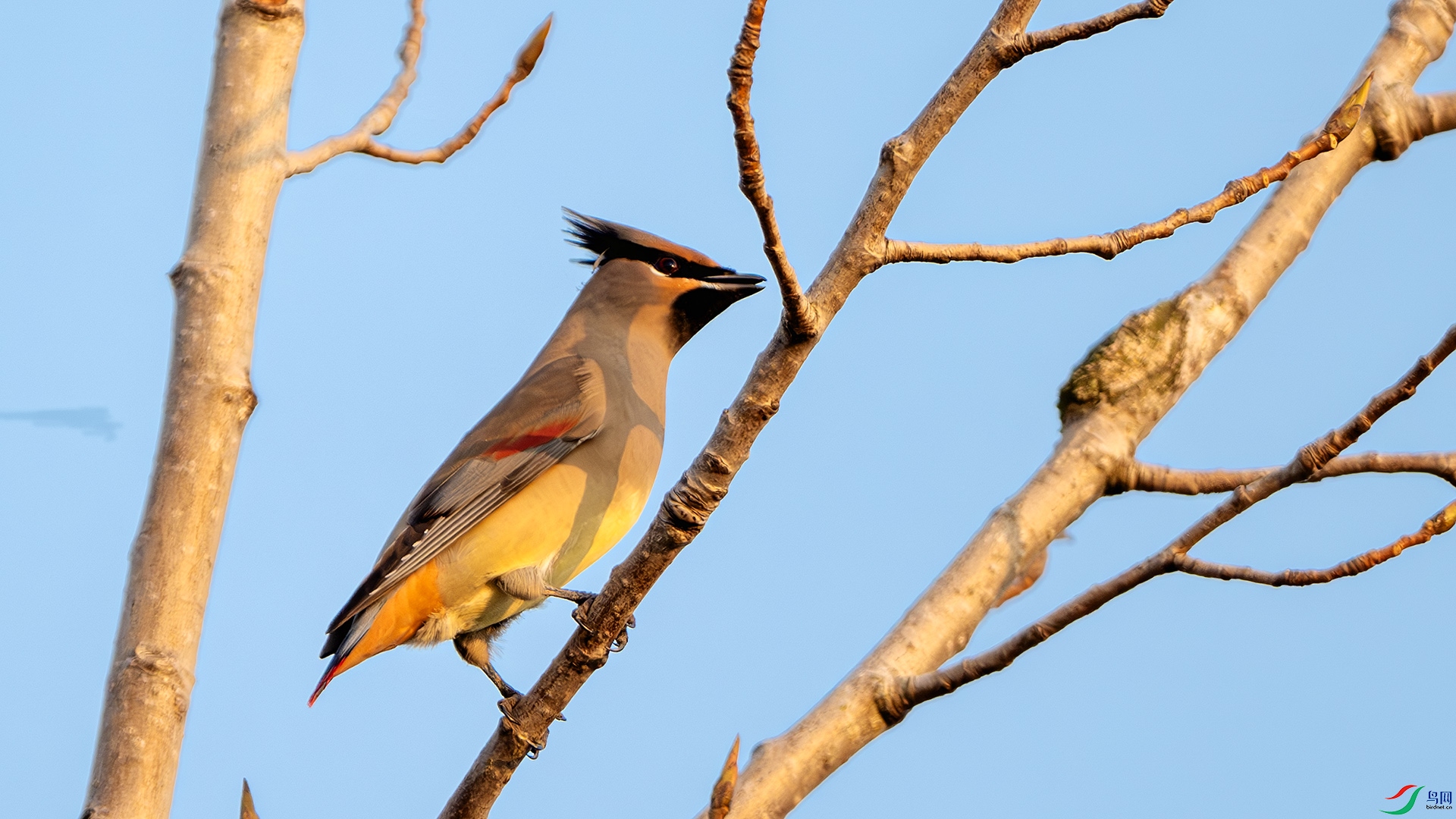 DSC_0128-����ǿ-NR ����.jpg