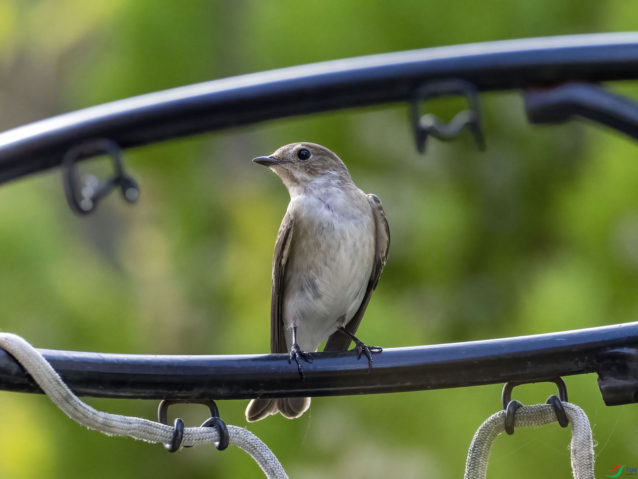 03 P9190830-DeNoiseAI-standard.jpg