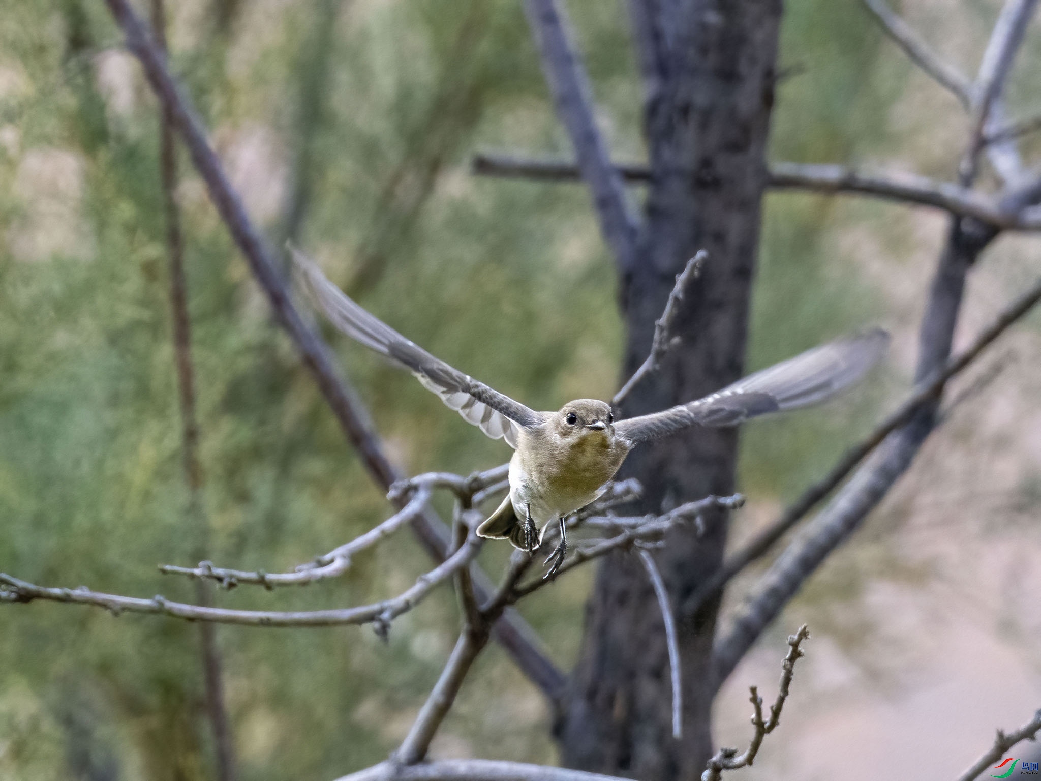 01 P9190907-DeNoiseAI-low-light.jpg