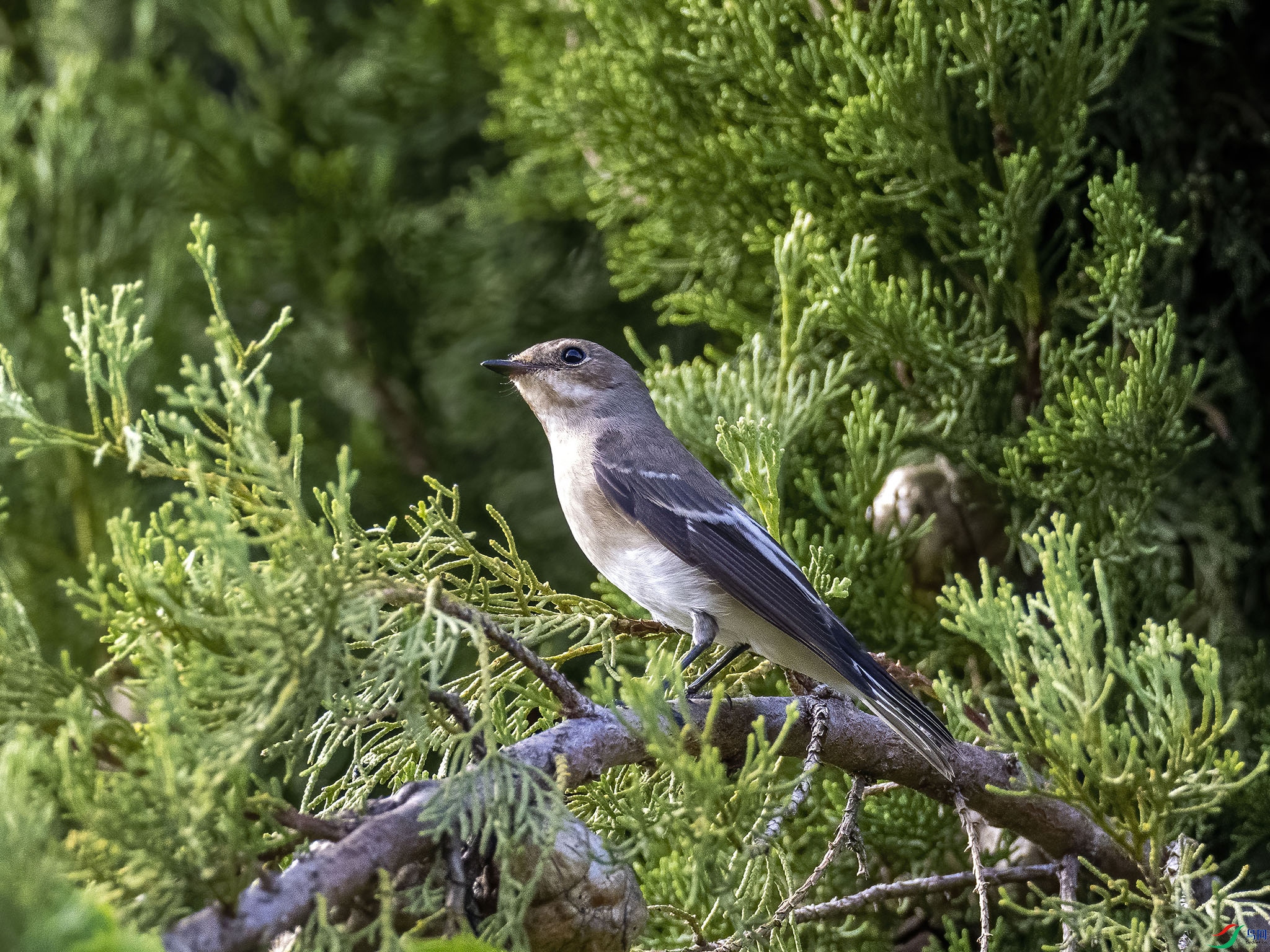 05 P9190848-DeNoiseAI-standard.jpg