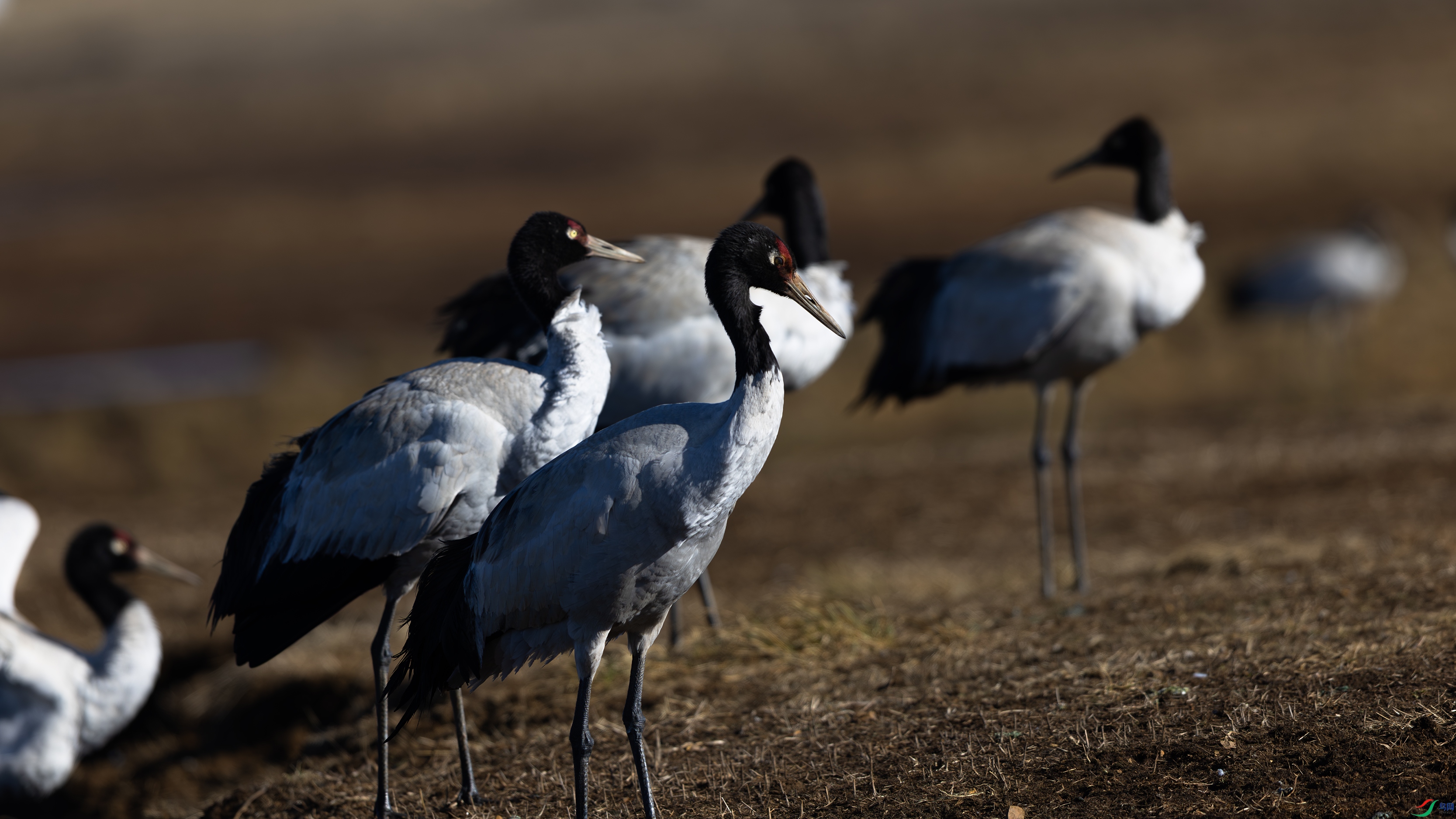 _O7A0254 ��444.jpg