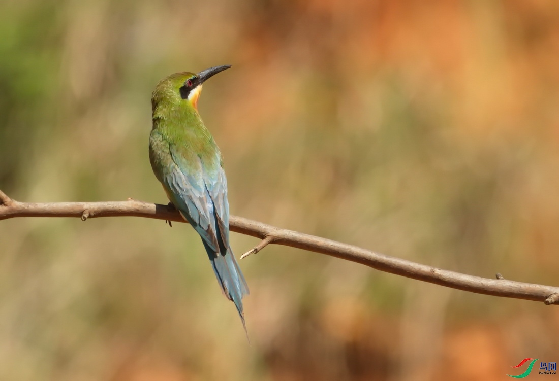 _DSC8 (1)zxz_������С.jpg