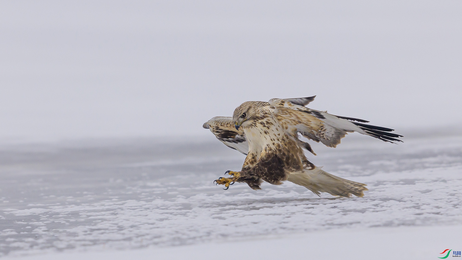 051A9556 ����n.jpg