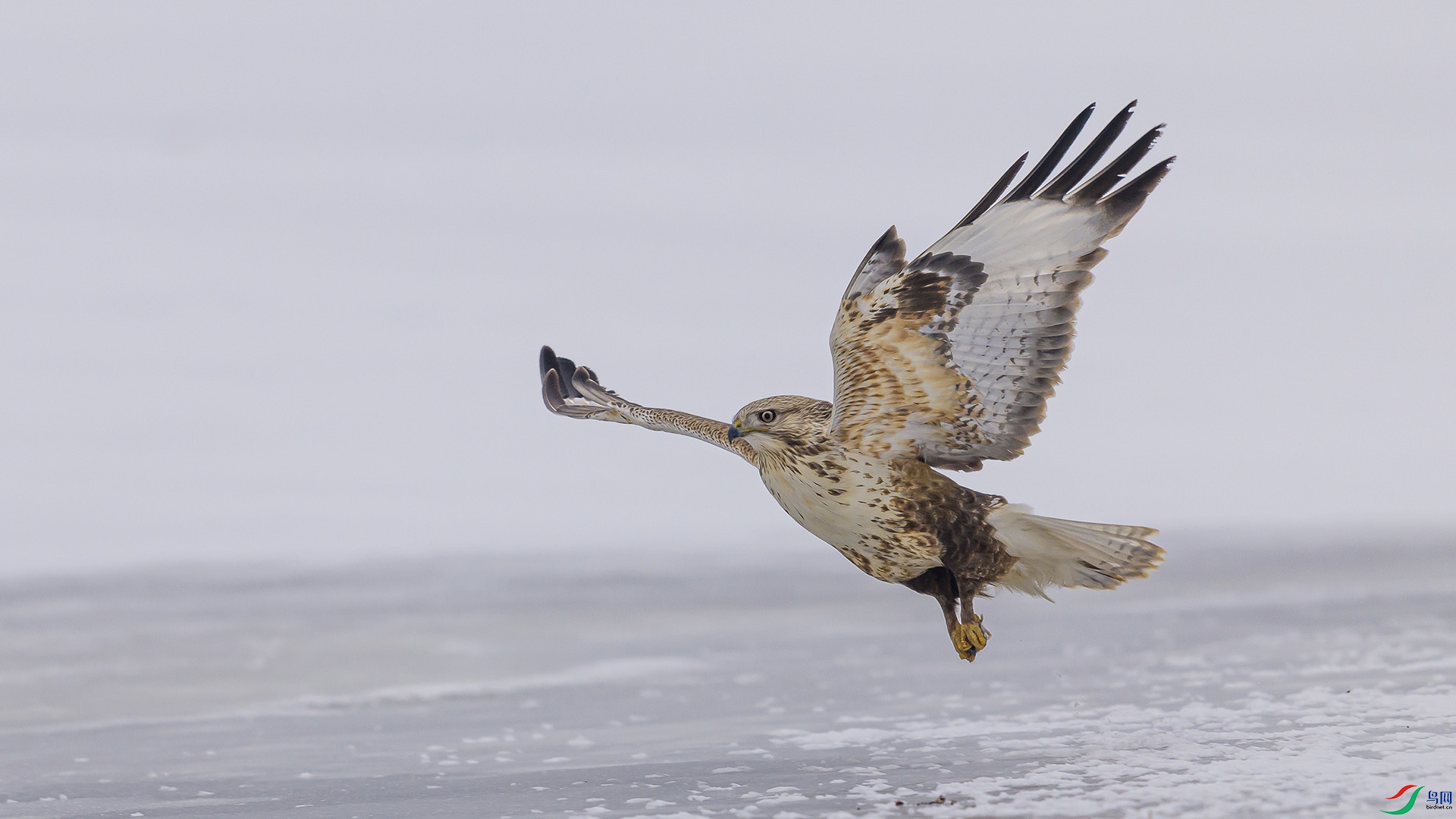 051A9558 ����n.jpg