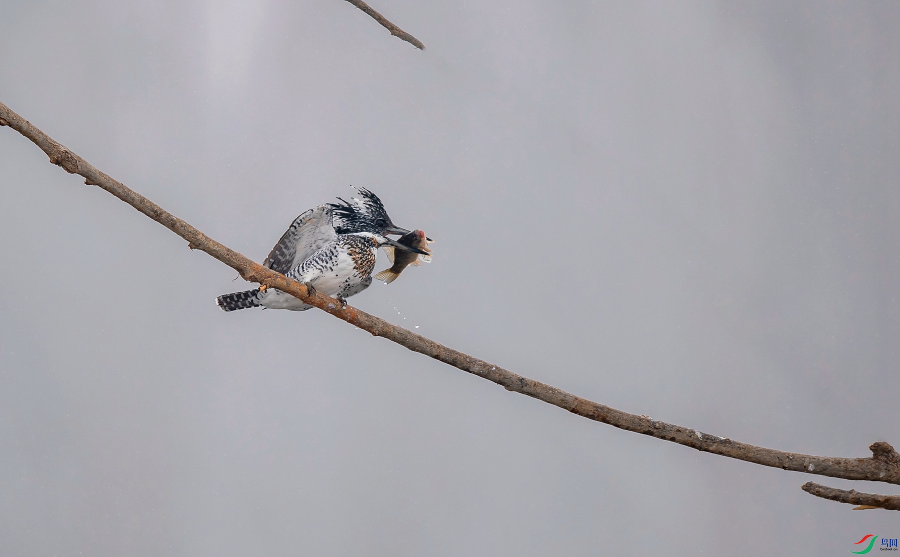DSC_5870_����.jpg
