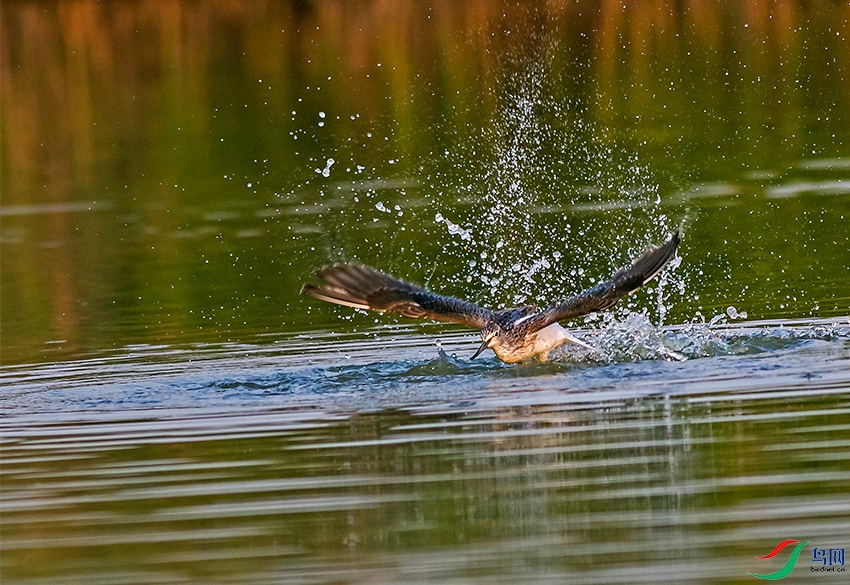 IMG_7176.jpg