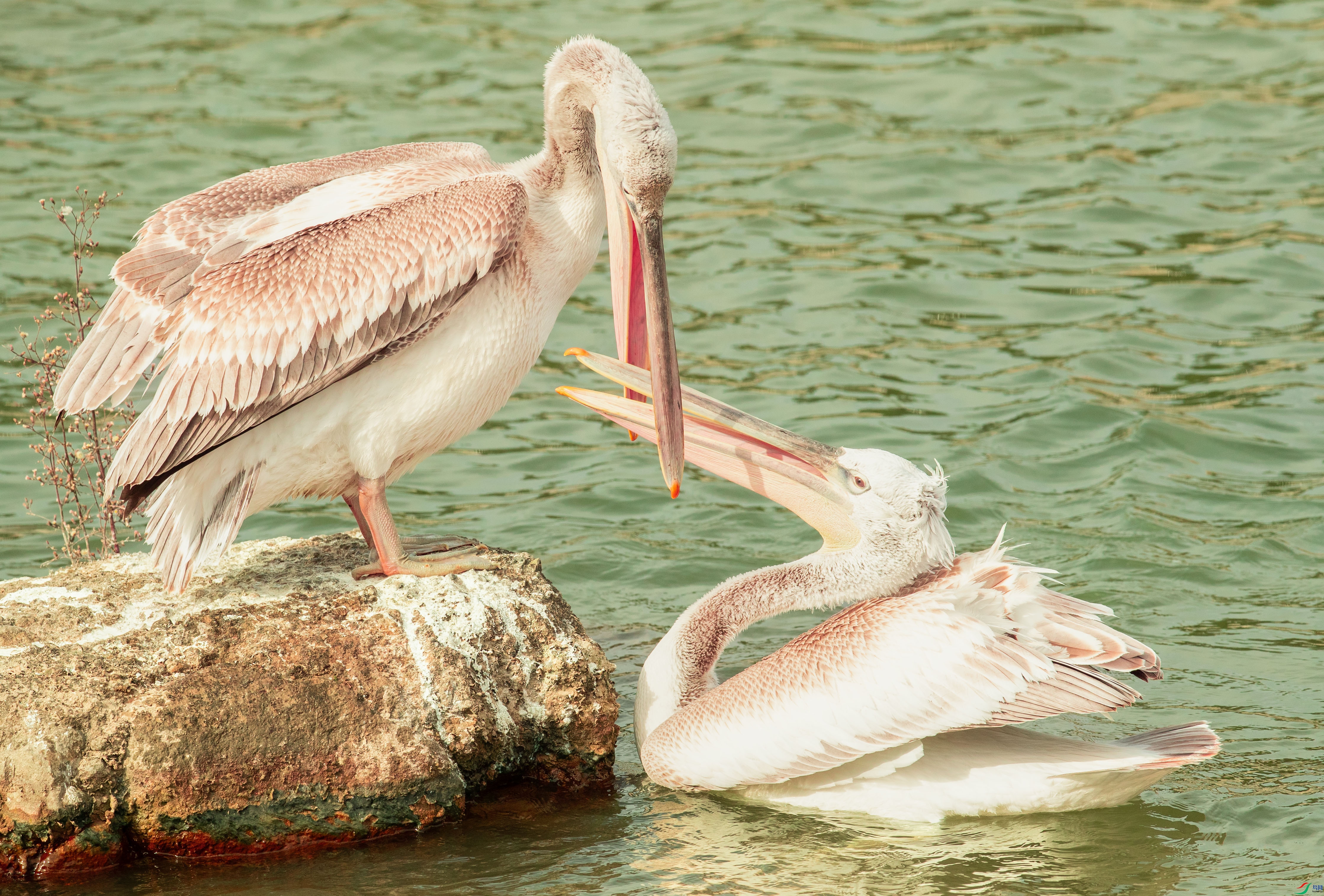 _U4I8713 ����.jpg