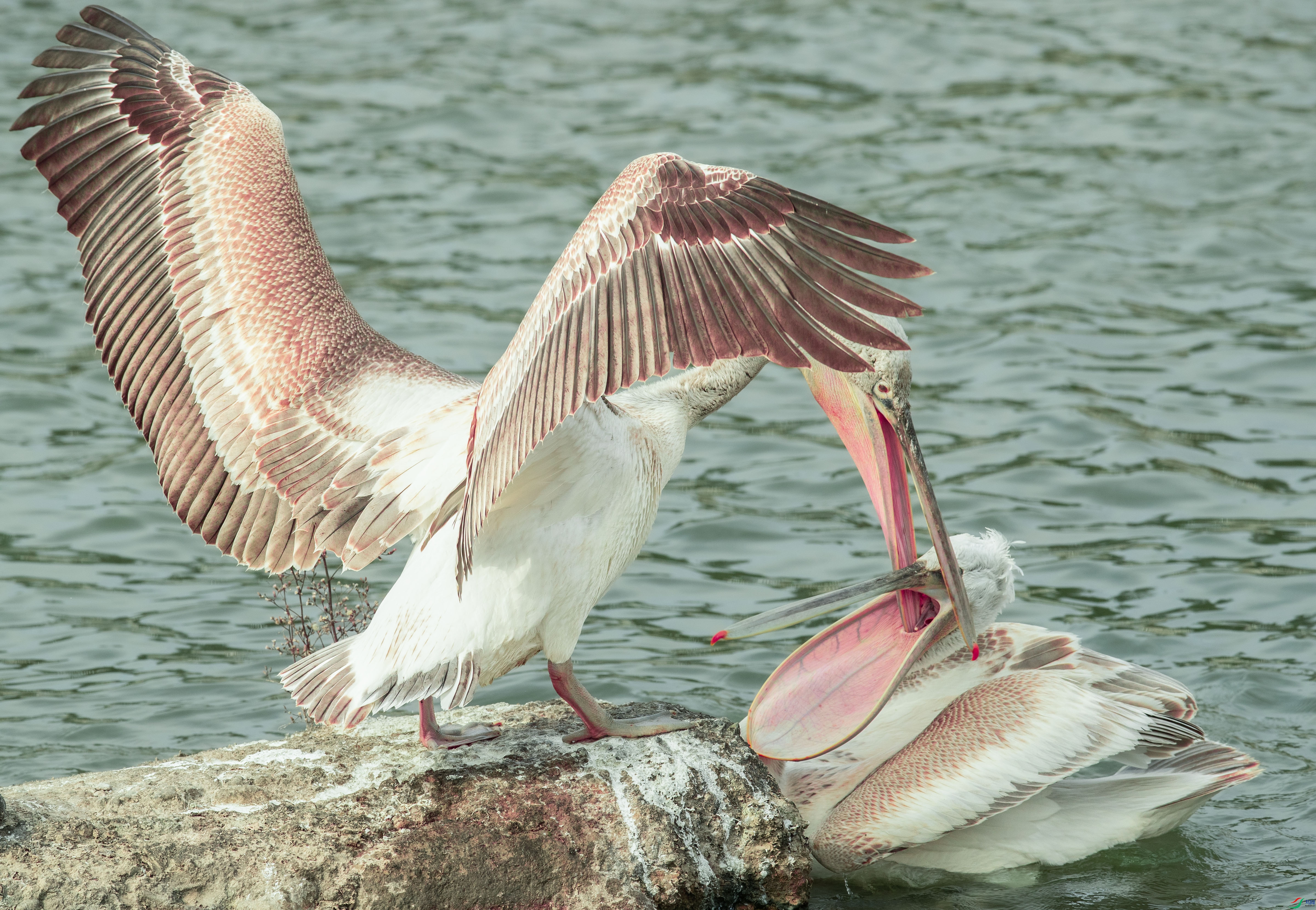 _U4I8834 ���� 2.jpg