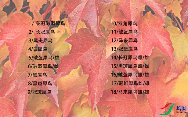 ��Ļ��ͼ 2025-12-23 125212.jpg