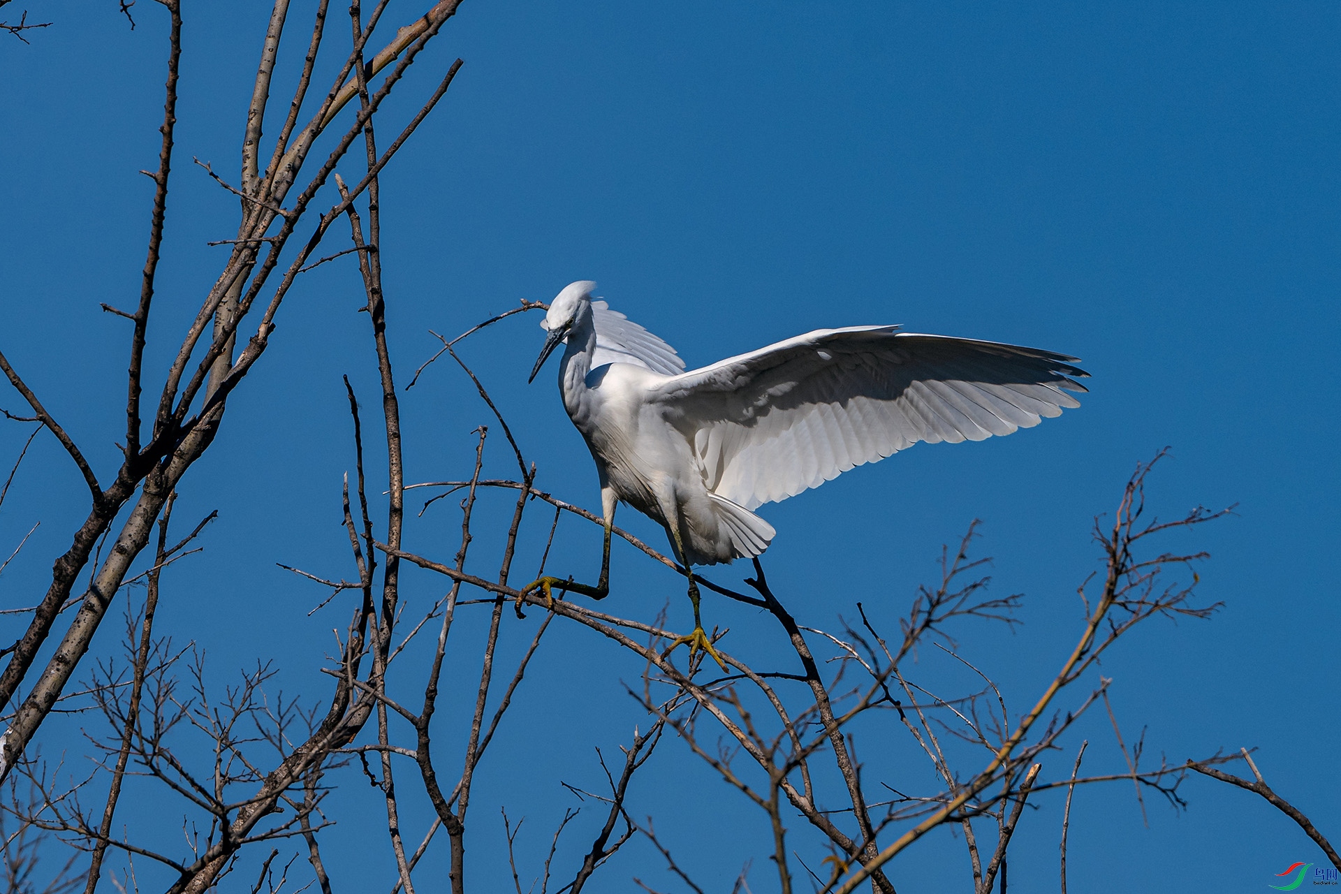 _AUU4619С����(25.1.24).jpg