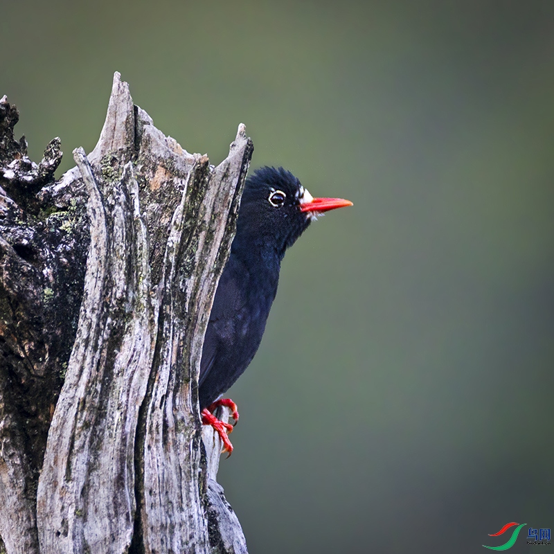 _B3A7834�ڶ̽���-���� ����.jpg