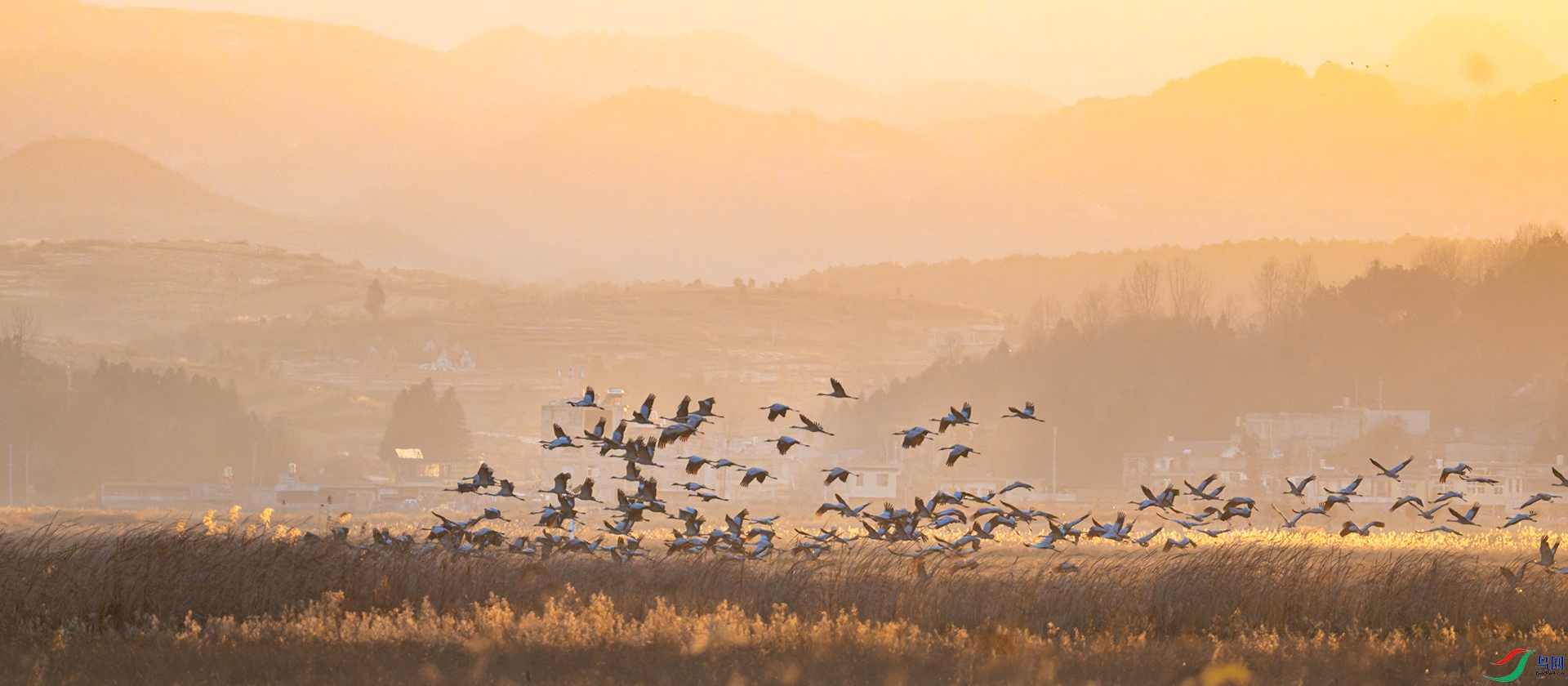 _DSC2084-DxO_DeepPRIME 3_1-1.jpg