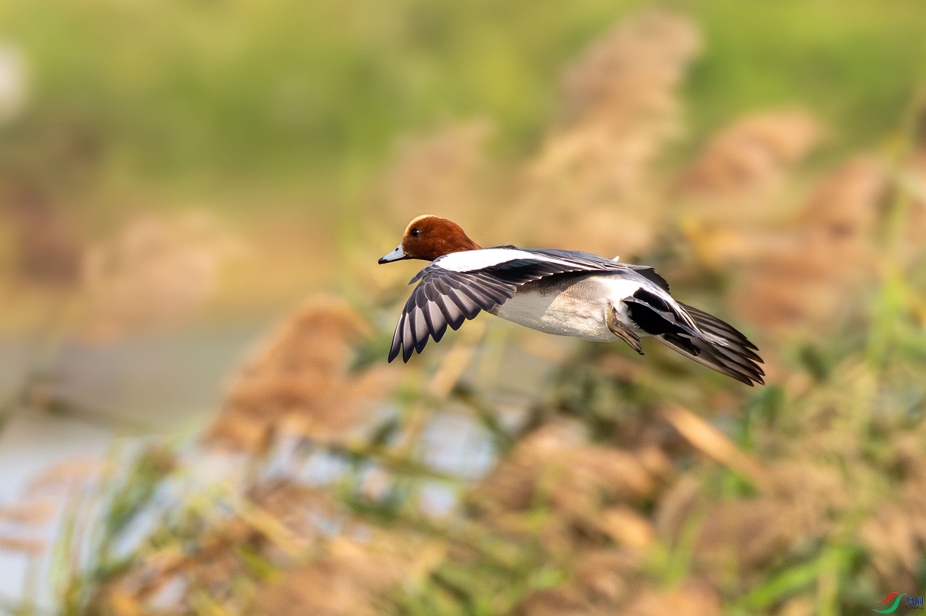 DSC_5355_����.jpg