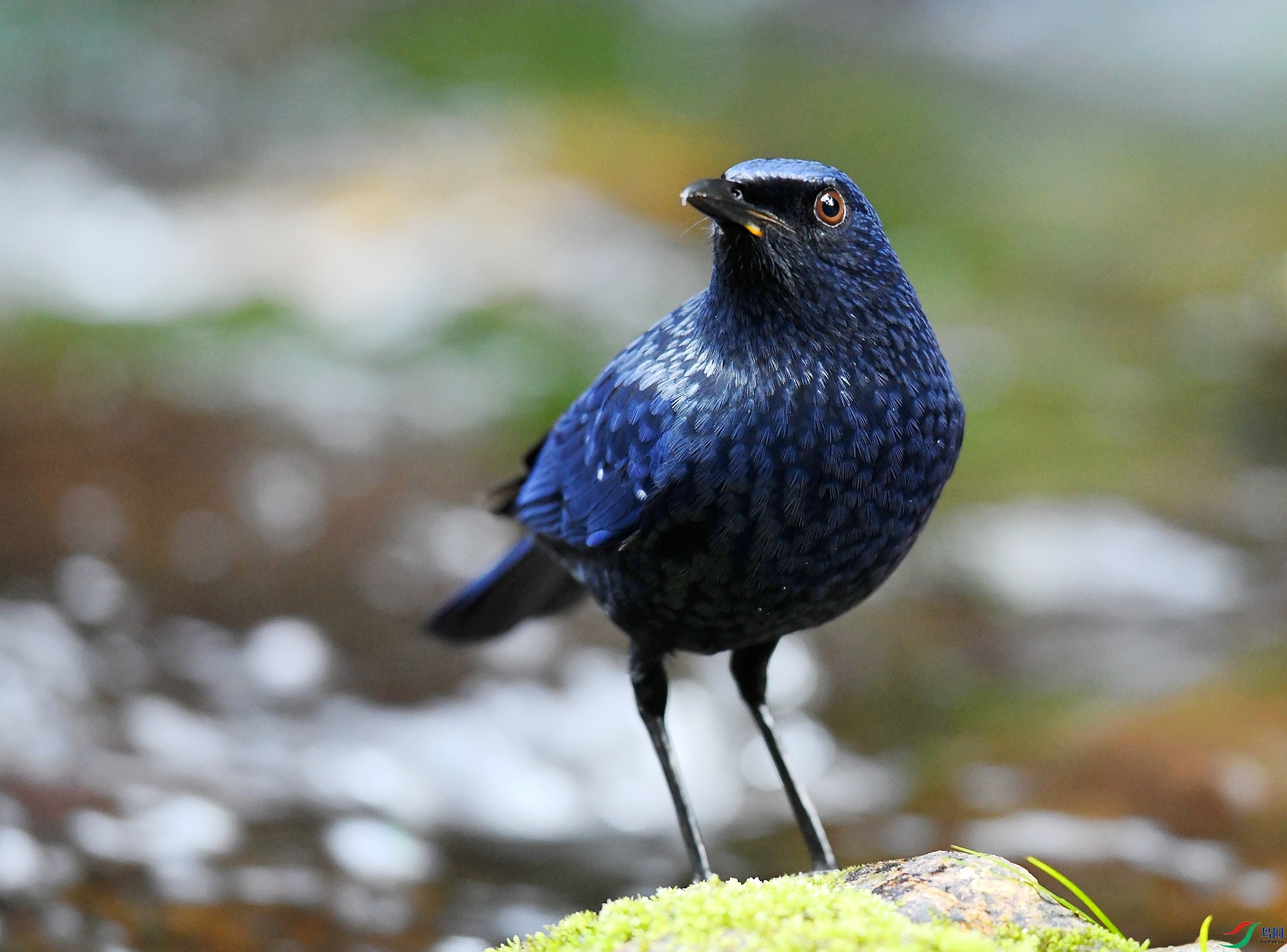 DSC_2639.jpg