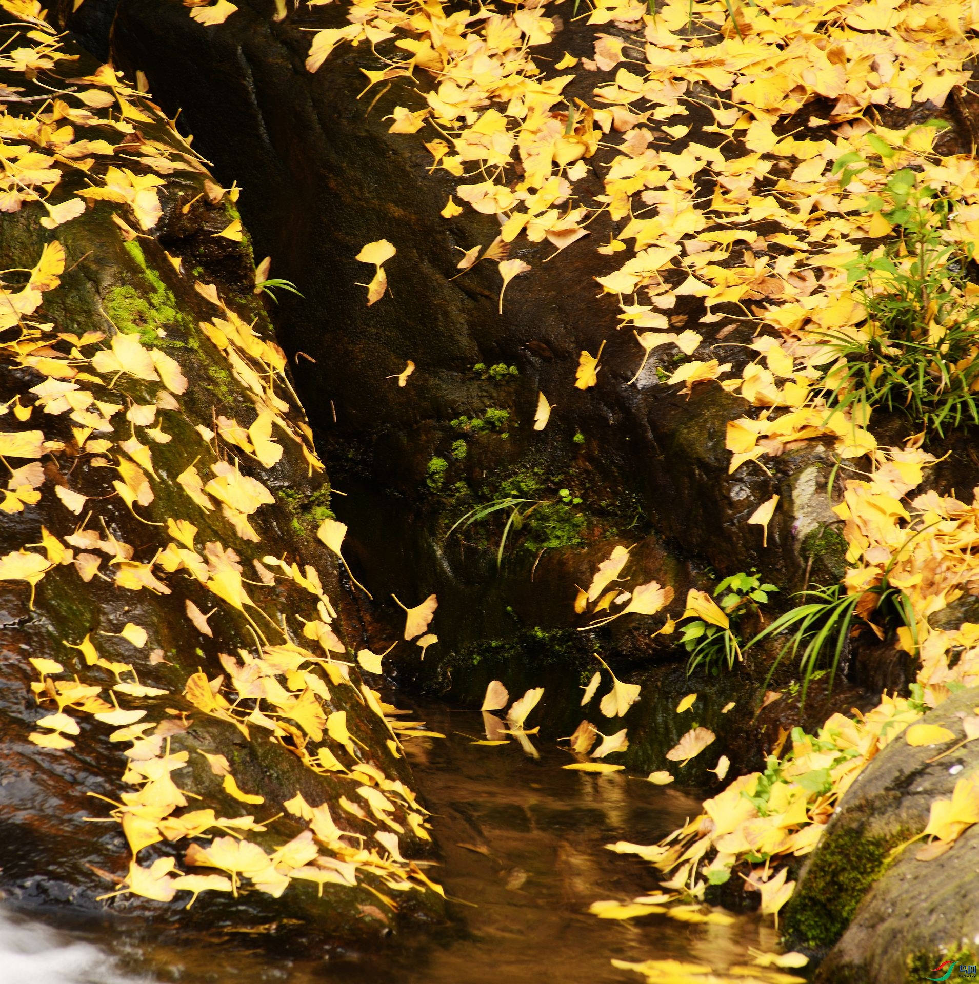 DSC_0291.jpg