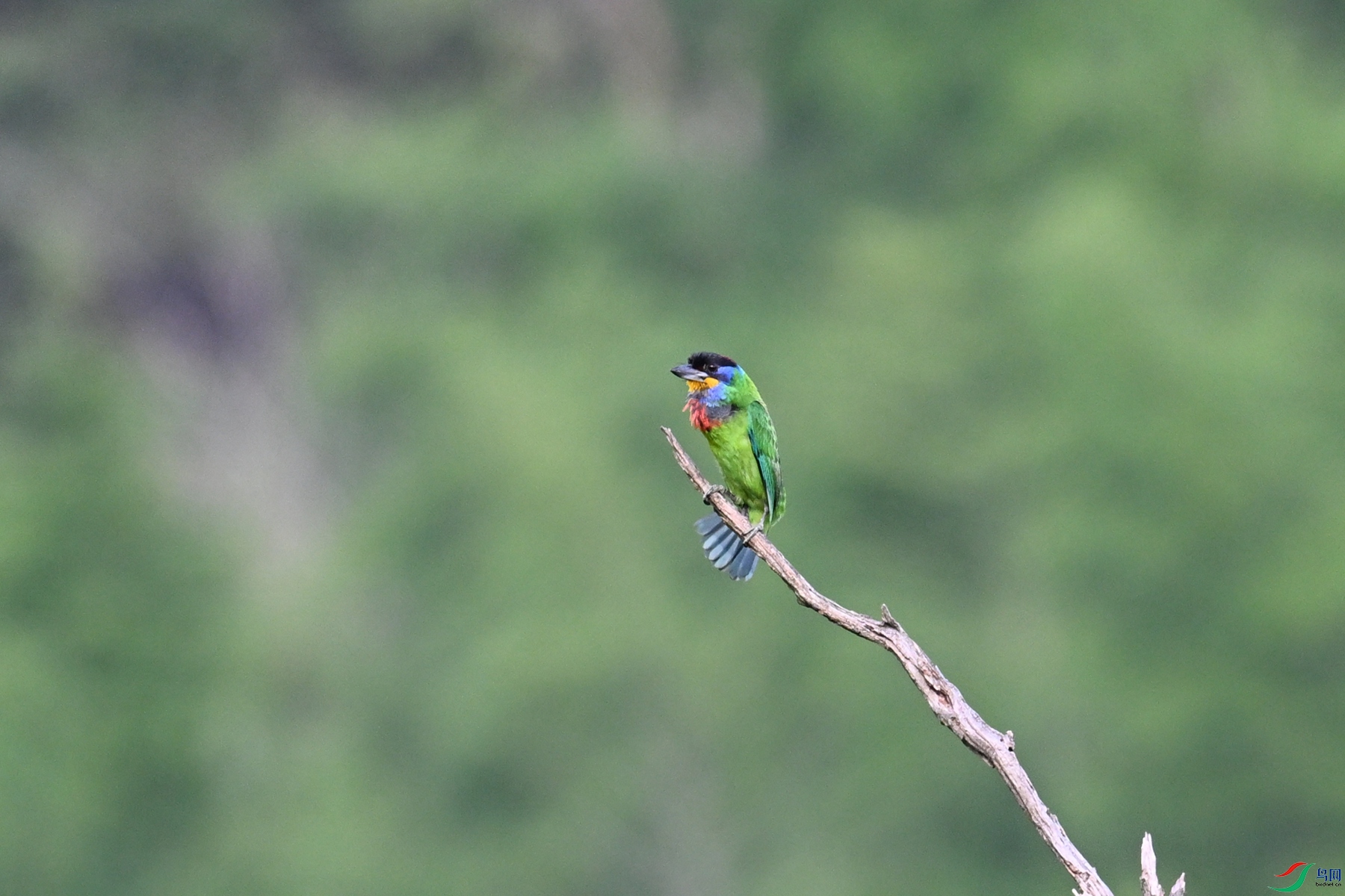 DSC_0179.JPG