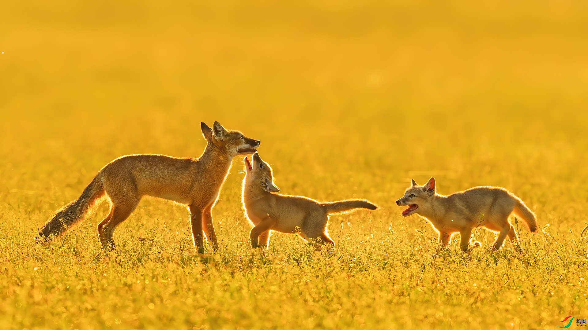 �������һ��ǣ-_DSC4308�����Ҷ��� ����.jpg