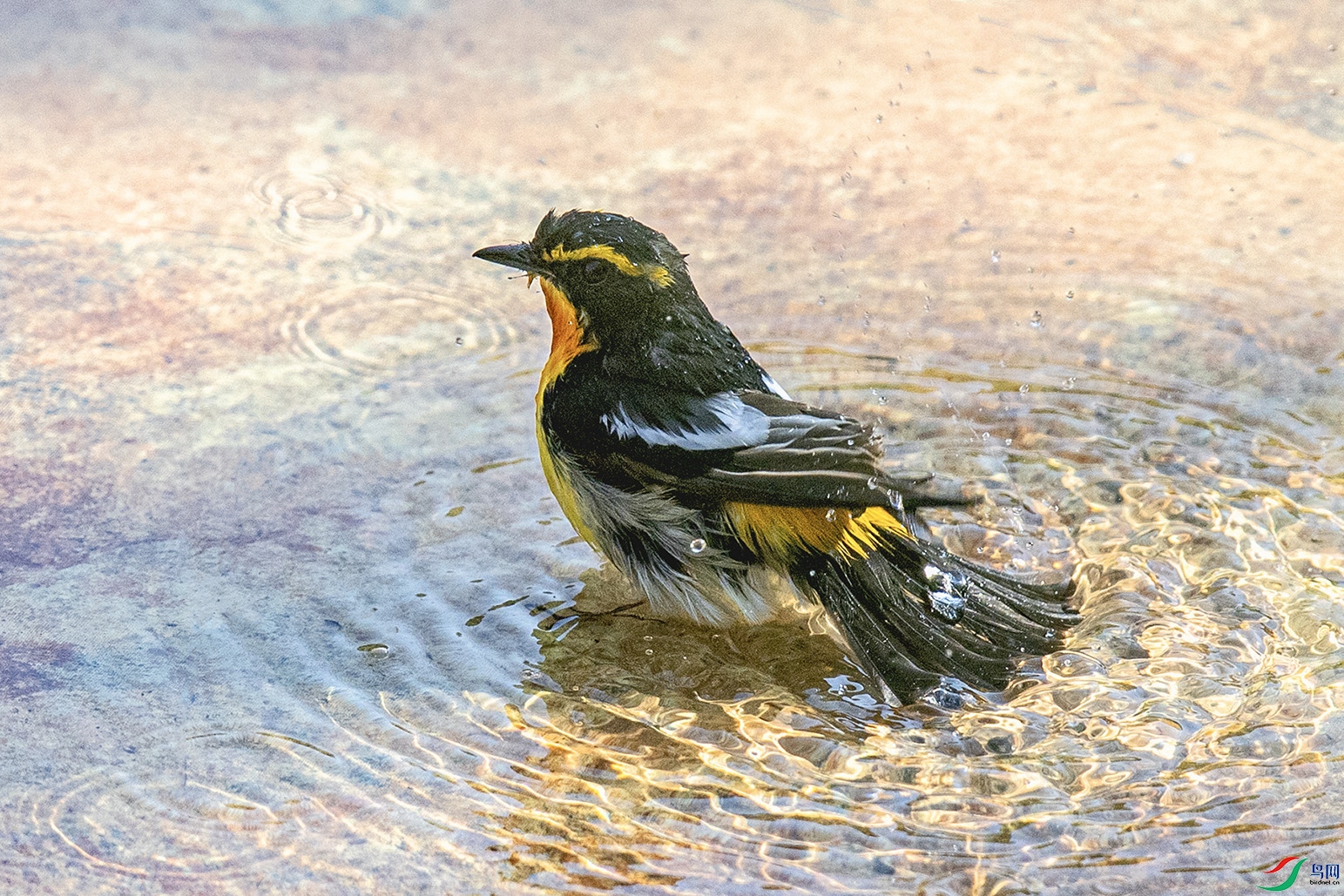 _90I6213 ���� 2.jpg